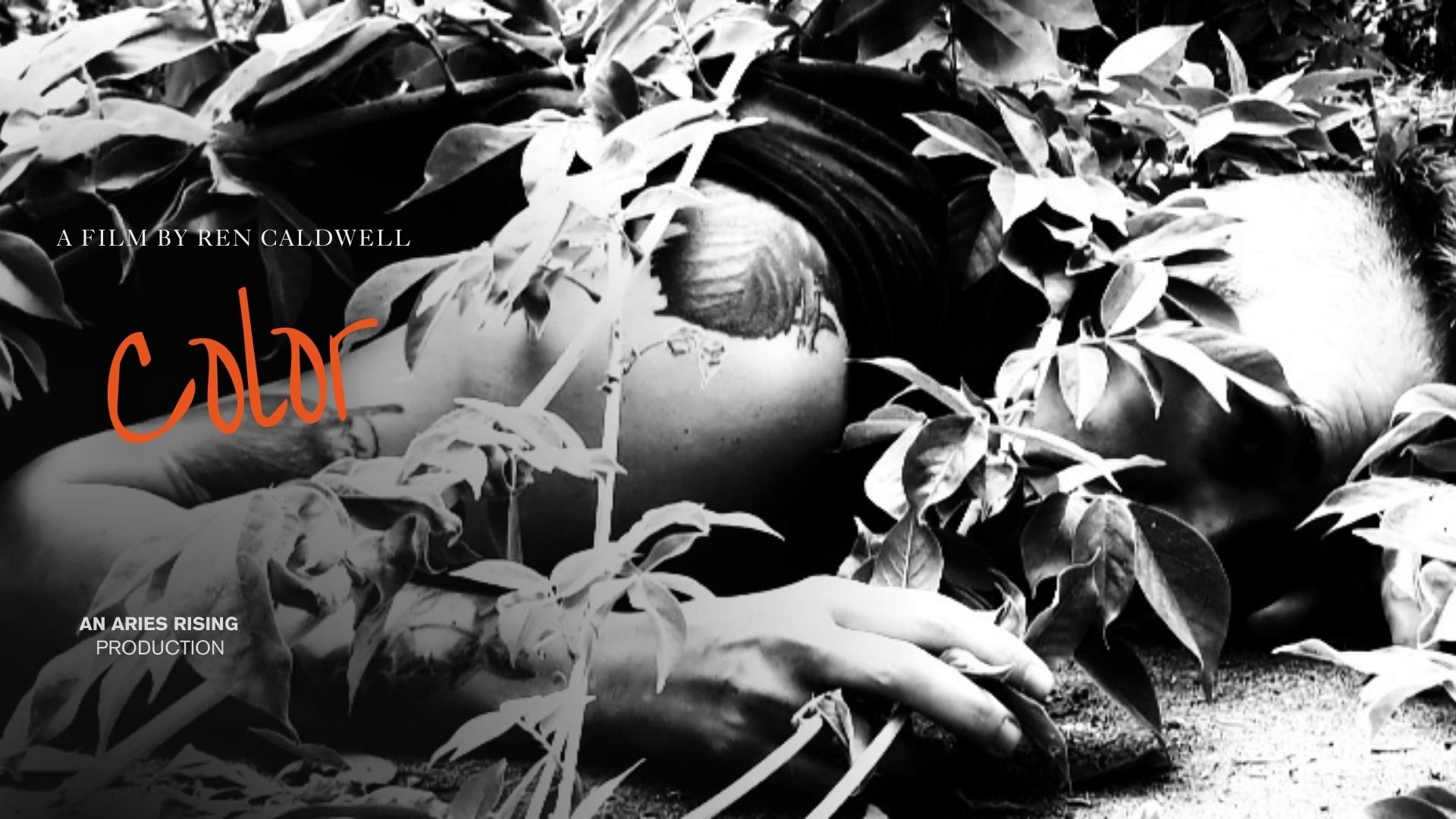 Original poster for the film