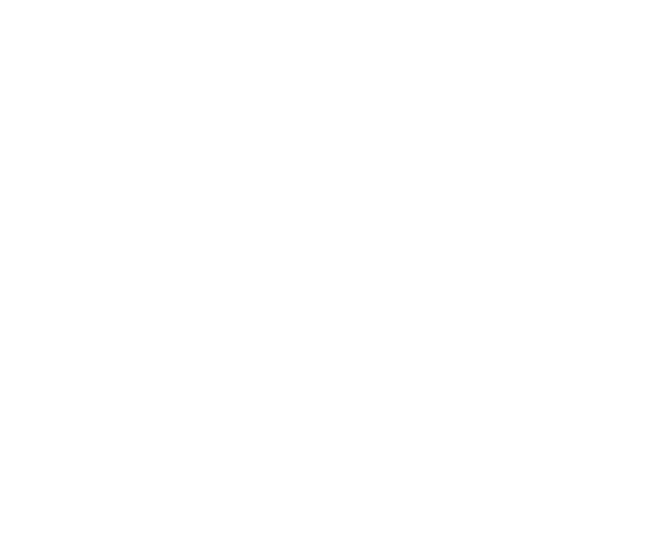 Nido