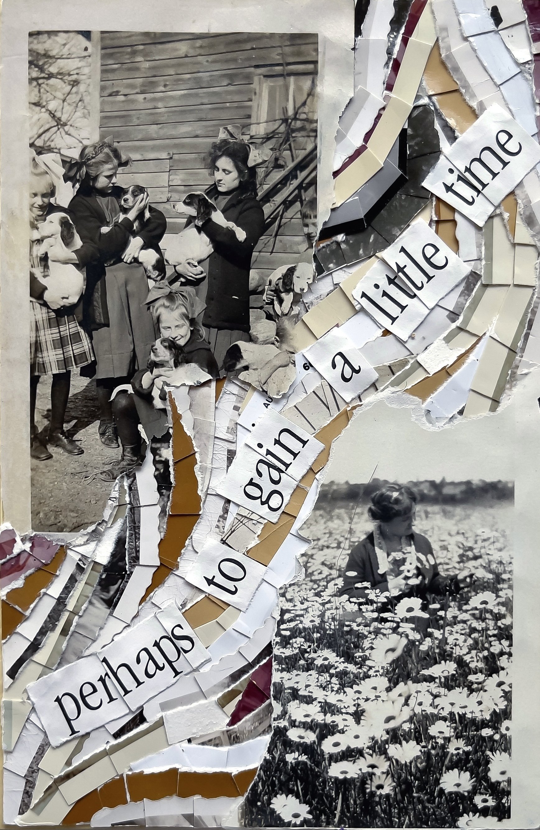 *"Perhaps To Gain A Little Time" (2021). 4.5"x7". A small collage piece made up of two torn black and white photographs. One shows a group of young women cuddling puppies and the other a woman in a field of daisies. In between them, curling strips of