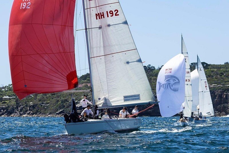 That's a wrap for the 2023 @sydneyharbourregatta. The closely matched Adams 10 fleet were separated by only 4 points after a very light and shifty Day 1- it was anyone's regatta. The typically ideal summer nor'easter came in on Day 2 with 12-18 kts o