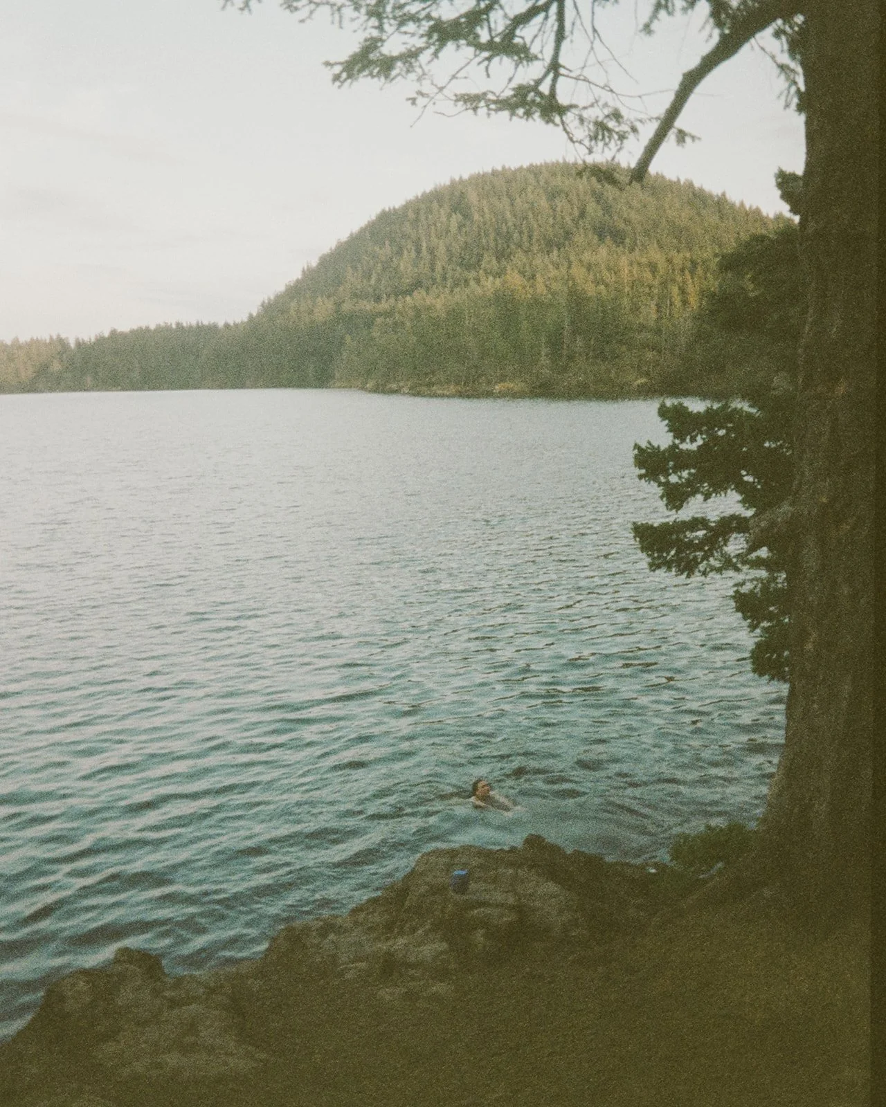 A person swimming in a lake near rocky shoreline with trees and a forested hill in the background.