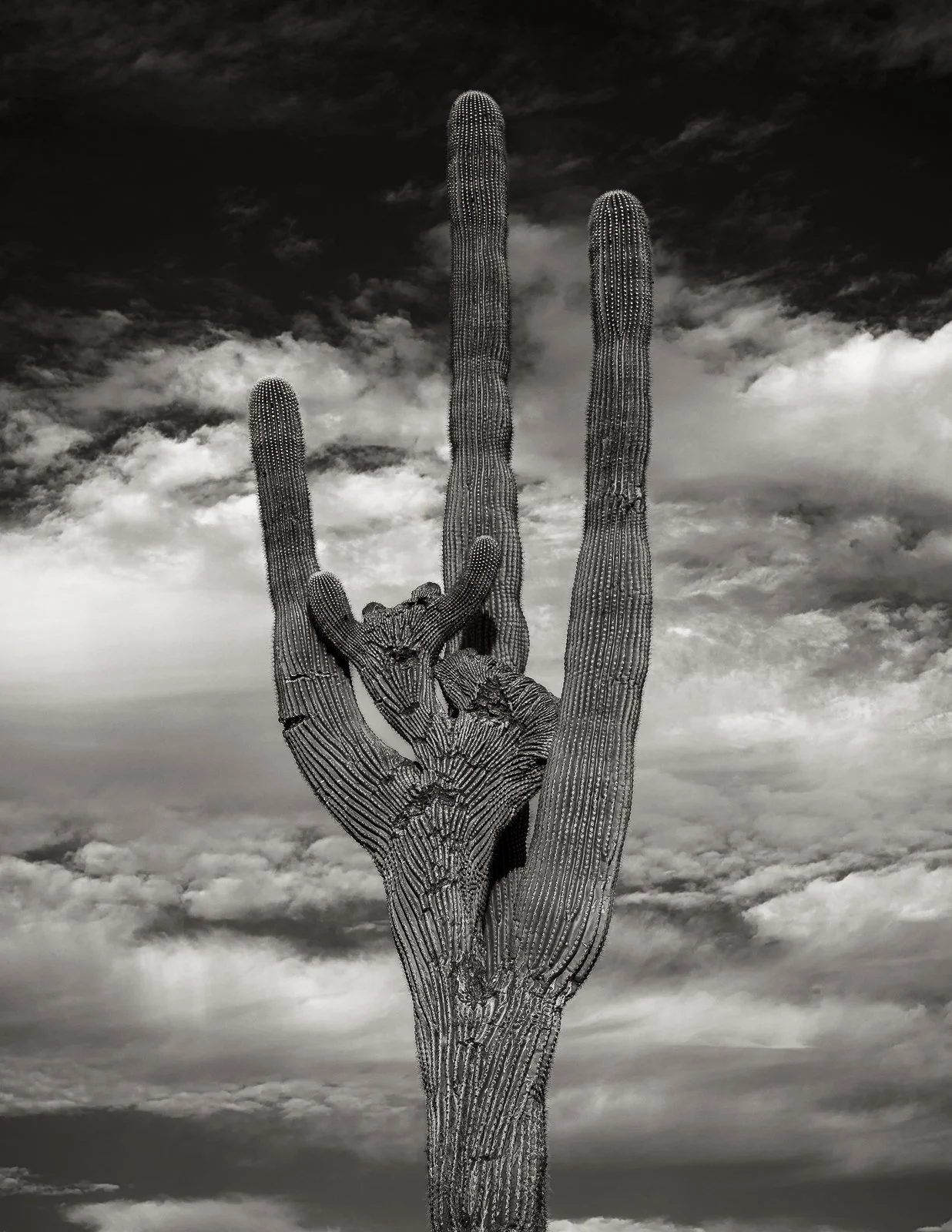Shocker-8.5x11.jpg