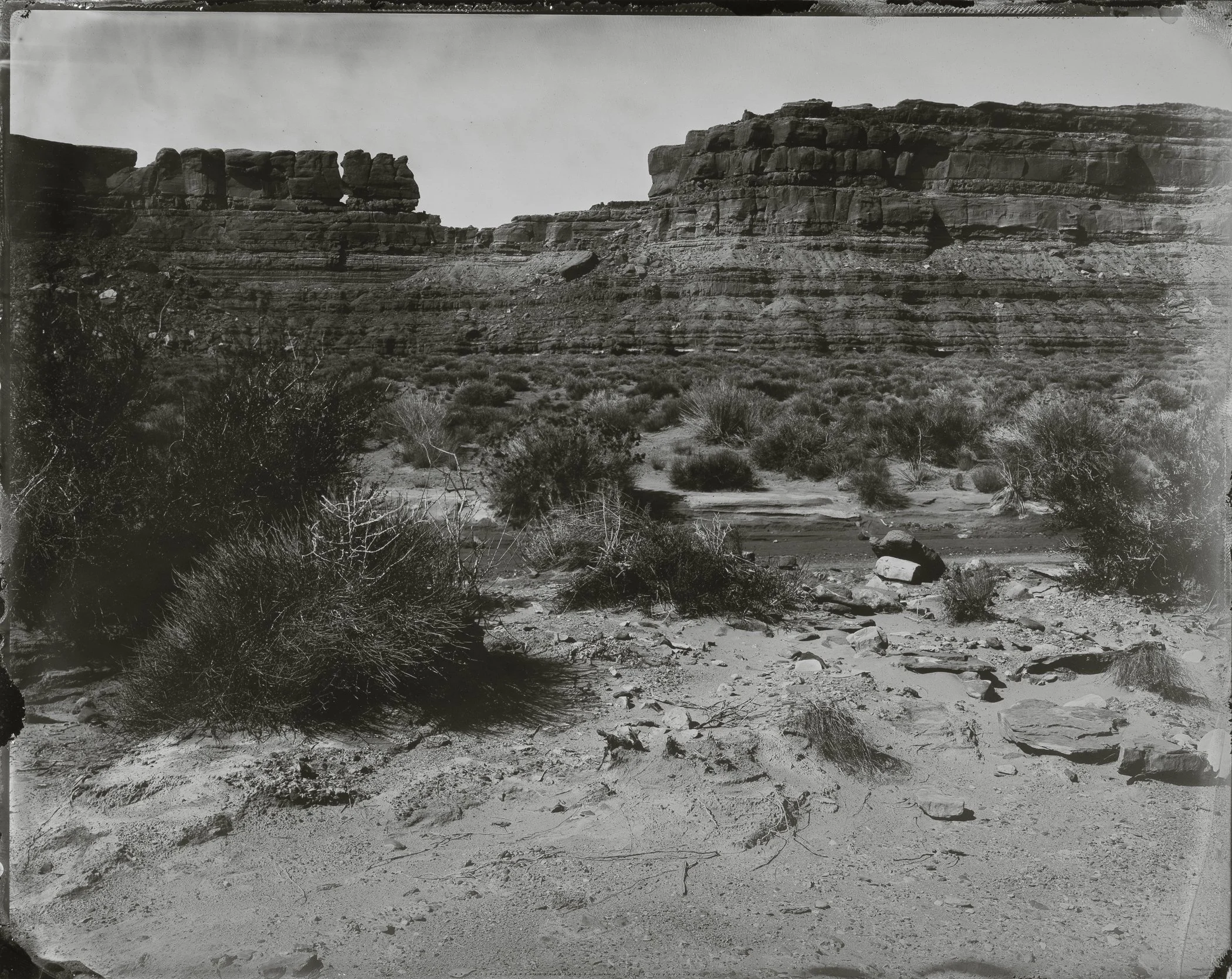 bearsears3.jpg