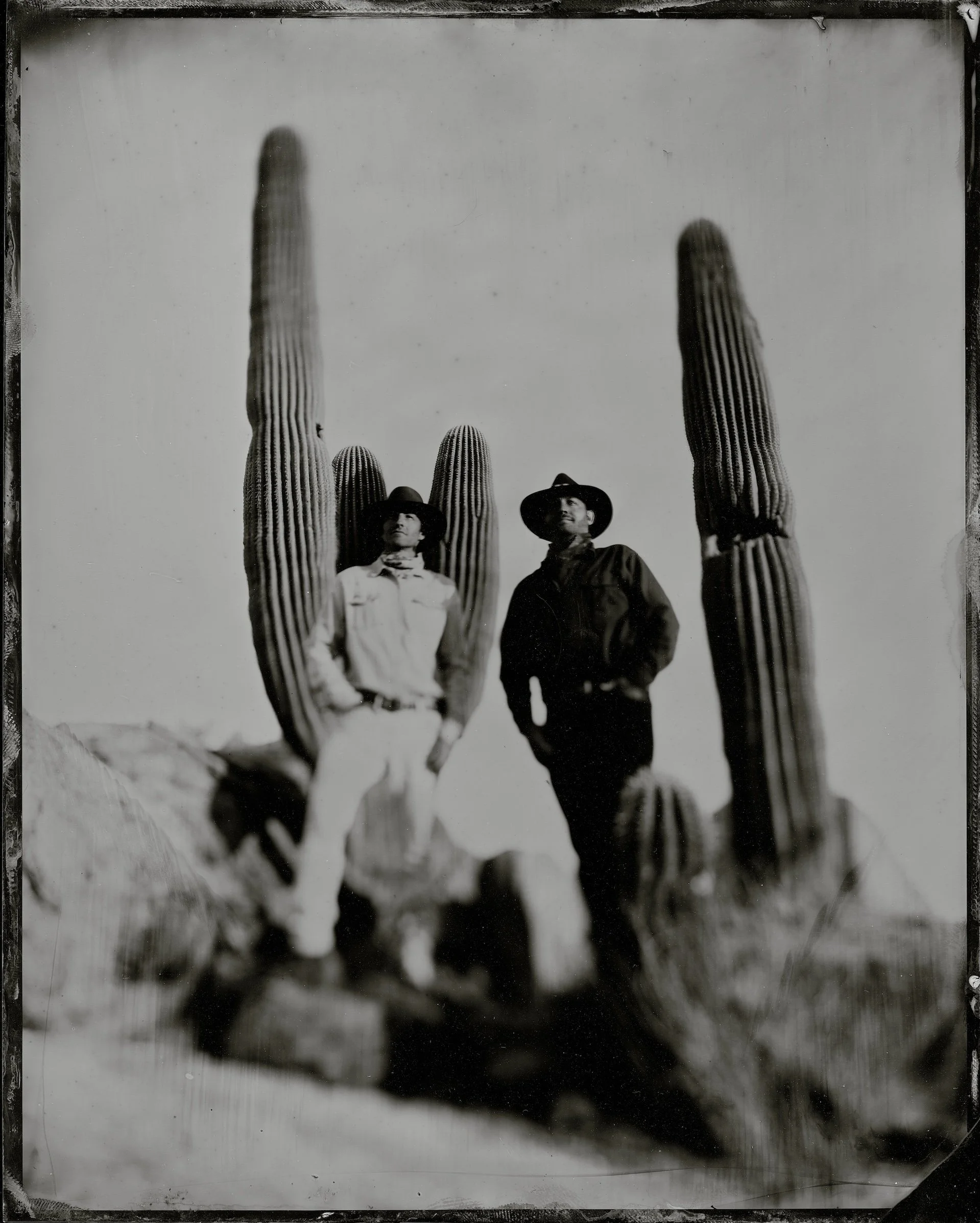 Yoneland Picnic - Natural Light Pop-Up