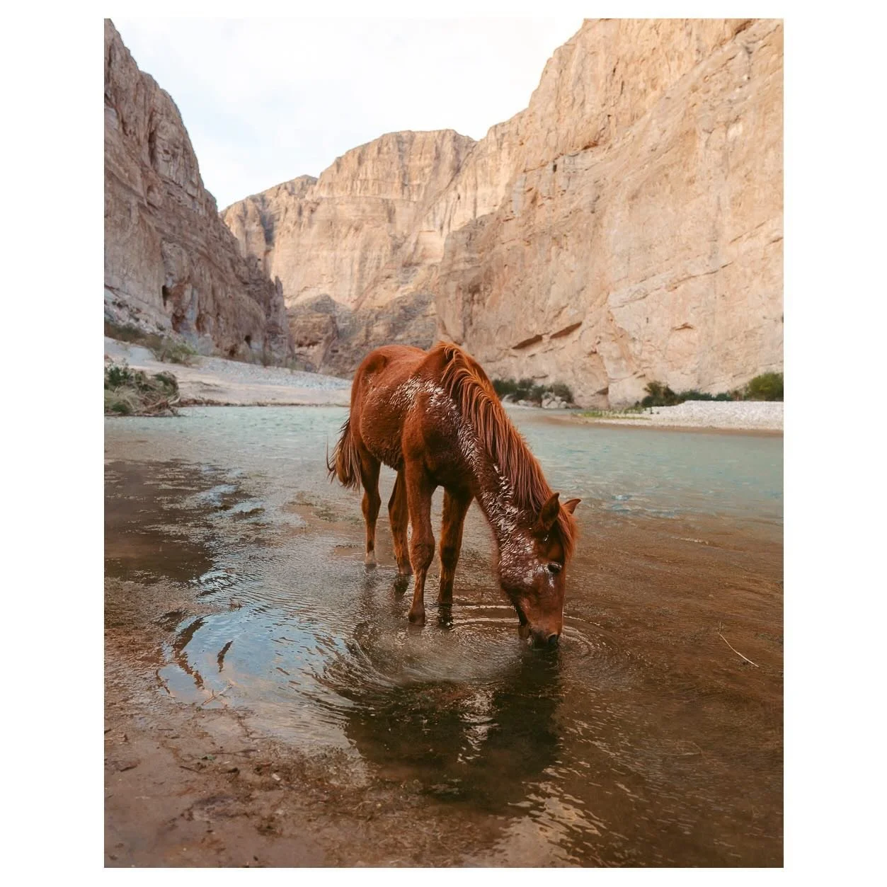 96% of Texas is privately owned, which makes it no surprise that folks have found themselves so goddamn up in arms when faced with the potential defilement of the tiny bit of it that happens to have remained public. In a land of cattle guards and bar