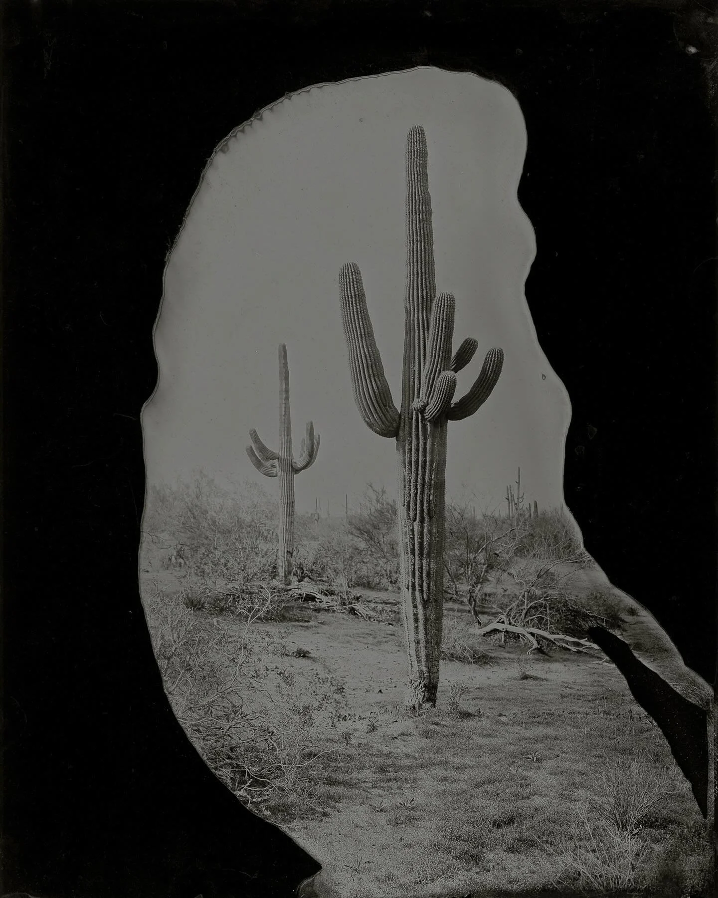 Just a hint of something from the past.

8x10 tintype made outside of Tucson in 2023.