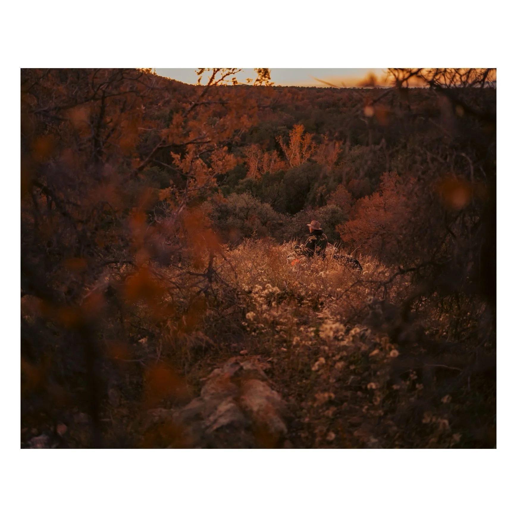 Dad&rsquo;s first hunt (and the buds&rsquo; first hunting trip).

Southern Arizona.  2025.