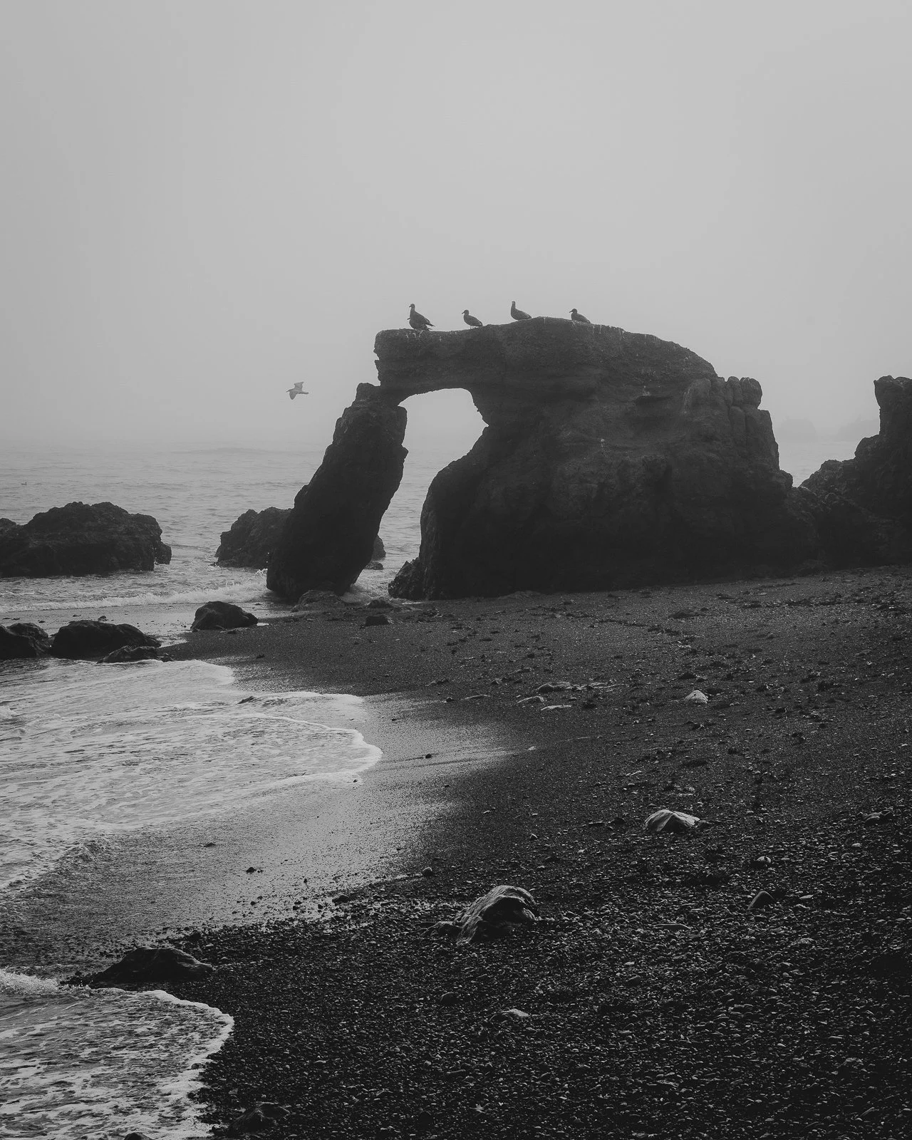 Lost Coast Best Coast.