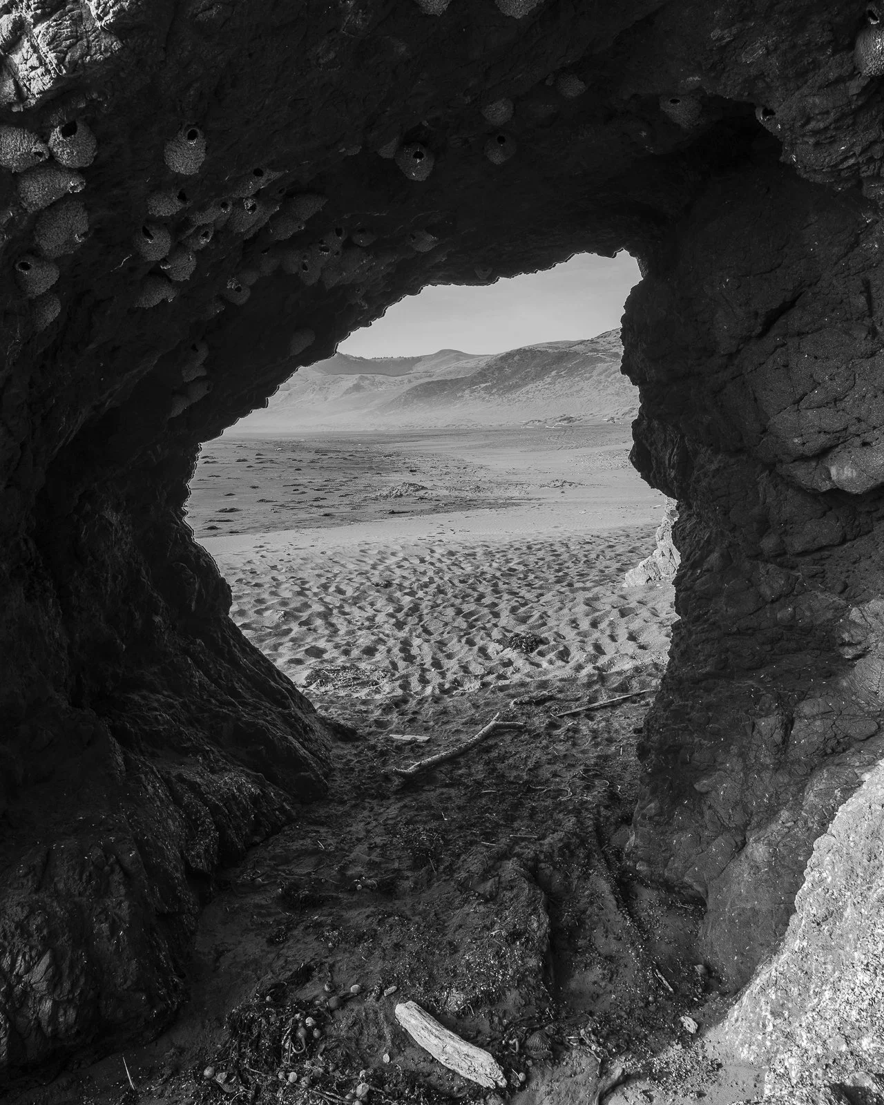 NestCave-8x10.jpg