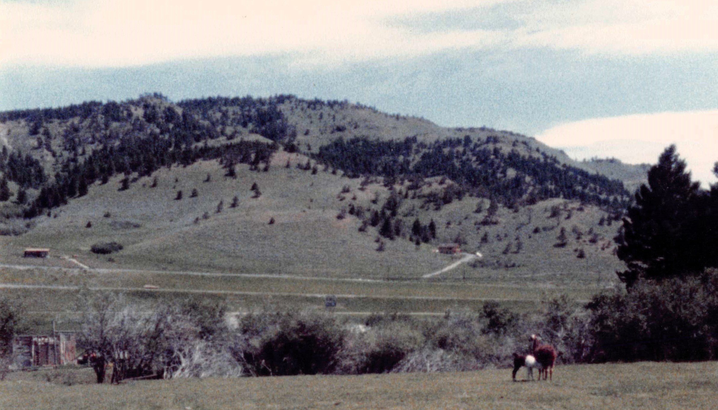 Montana Scenery .jpg