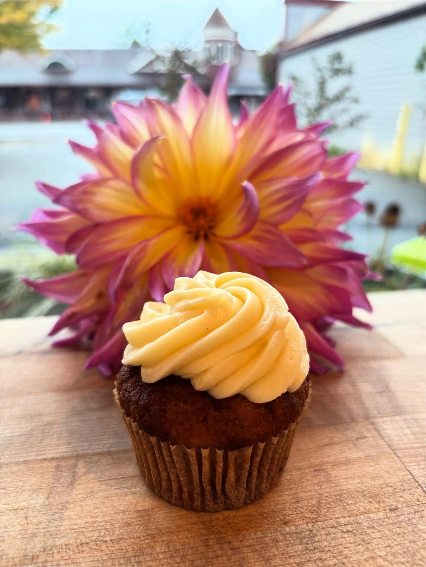 We’ve got beautiful Hummingbird Cupcakes in the case today! Come grab one to brighten this rainy PNW Monday or a few to share. π§ π
(Special thanks to our wonderful customers for bringing us their beautiful end of summer Dahlias so display in