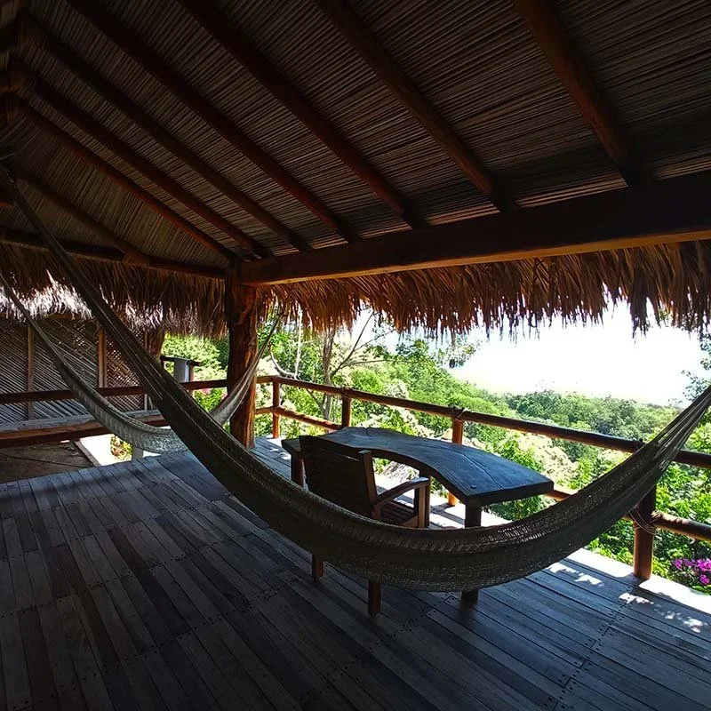 suite-gecko-terrace-hammocks.webp