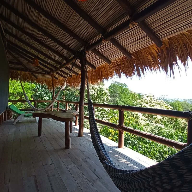 palapa-iguana-terrace-hammocks.webp