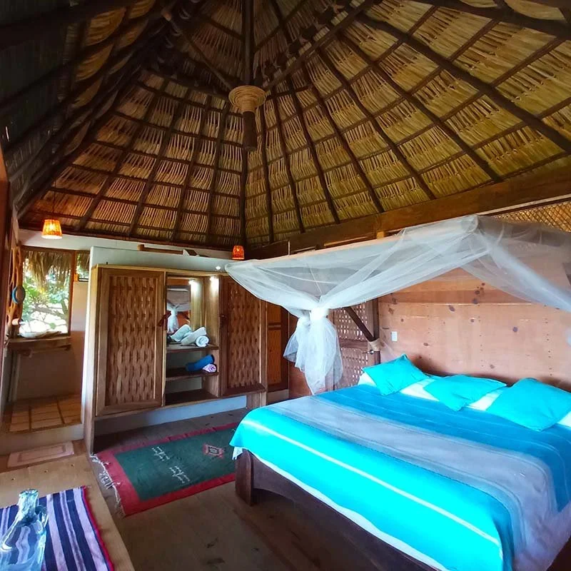 palapa-iguana-overview.webp