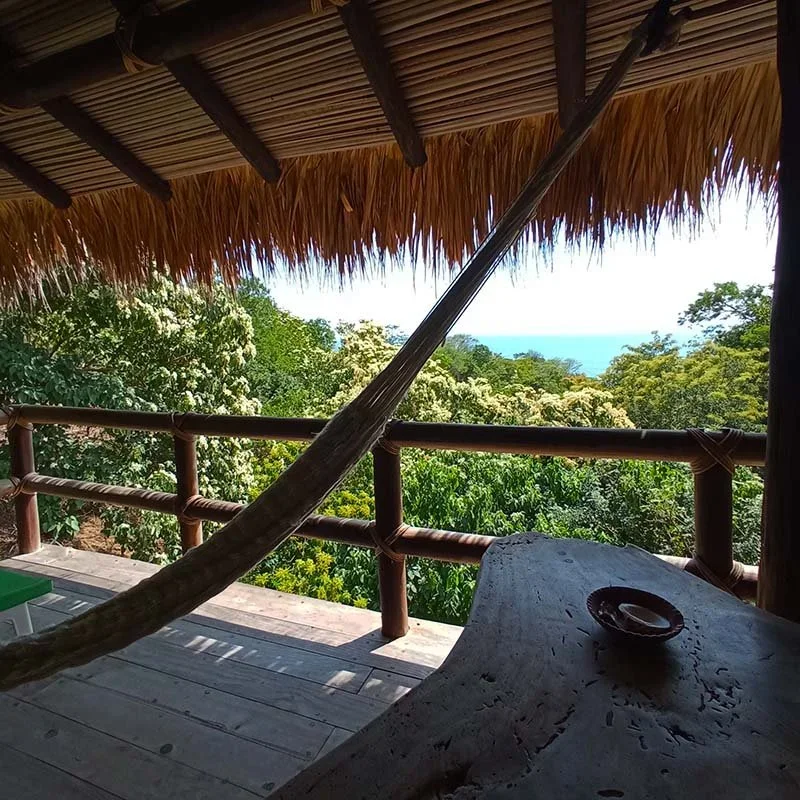 palapa-iguana-panoramic-sea-view.webp