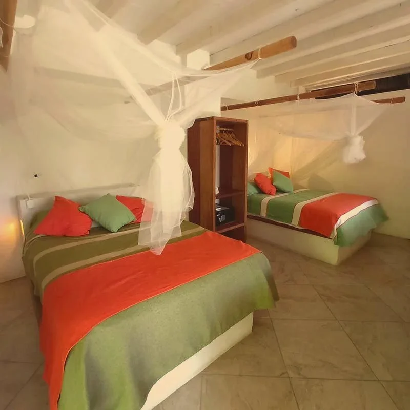 palapa-garrobo-overview.webp