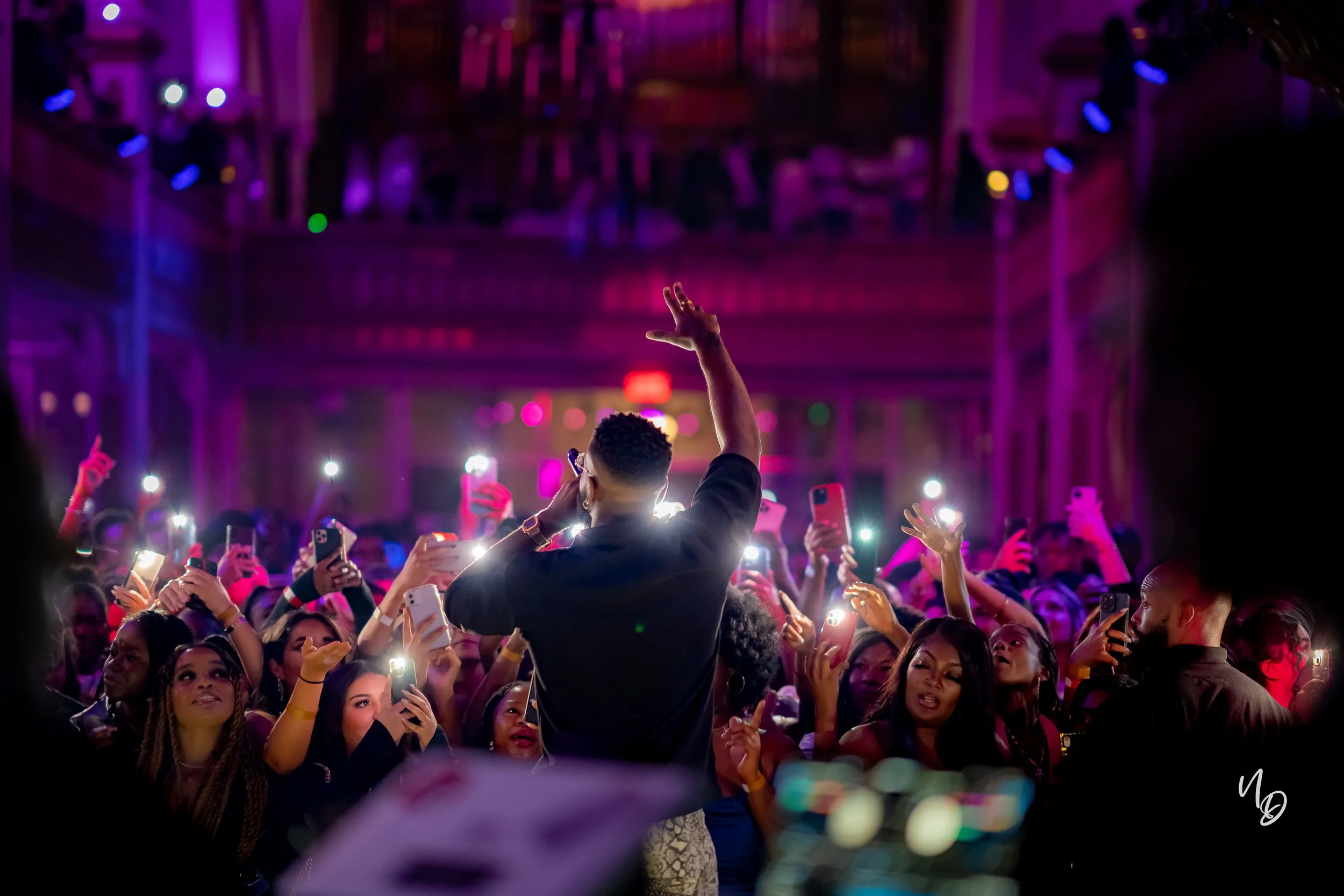 Shows & Concerts