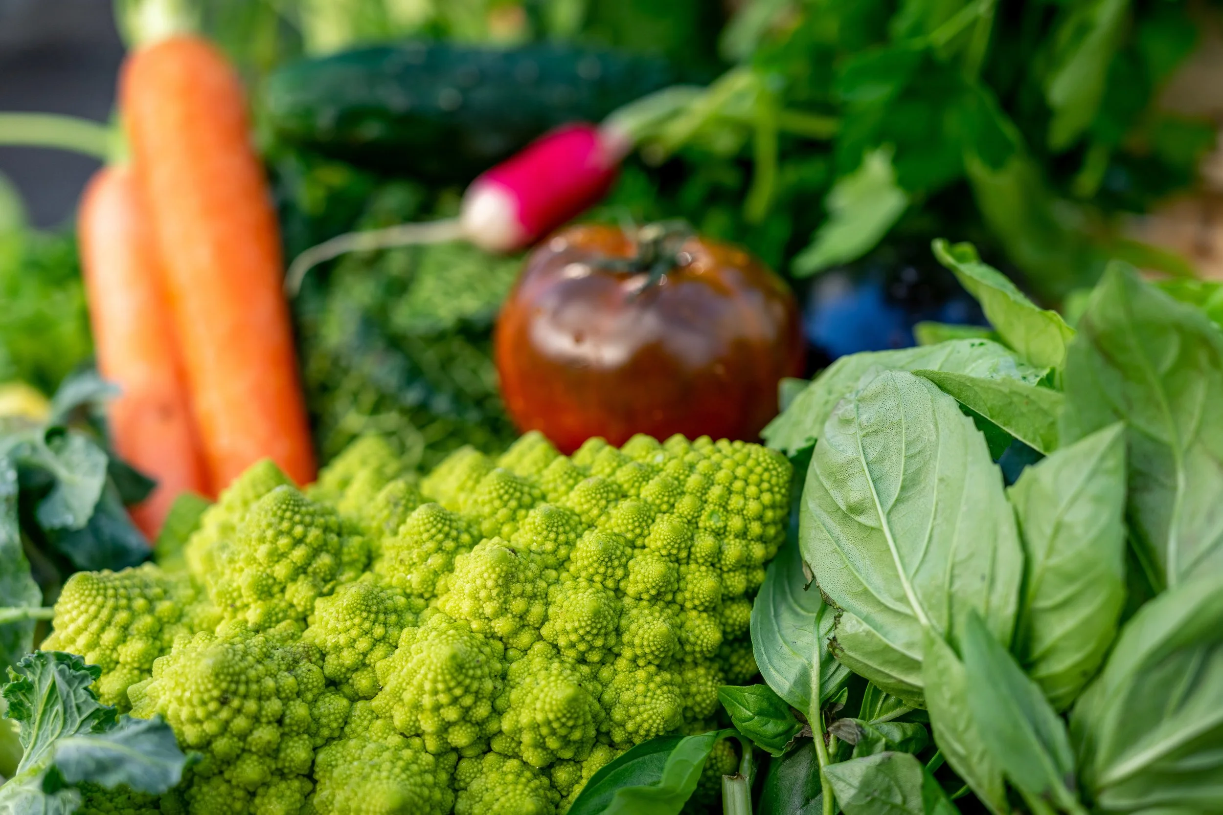 iStock-1214726278.jpg