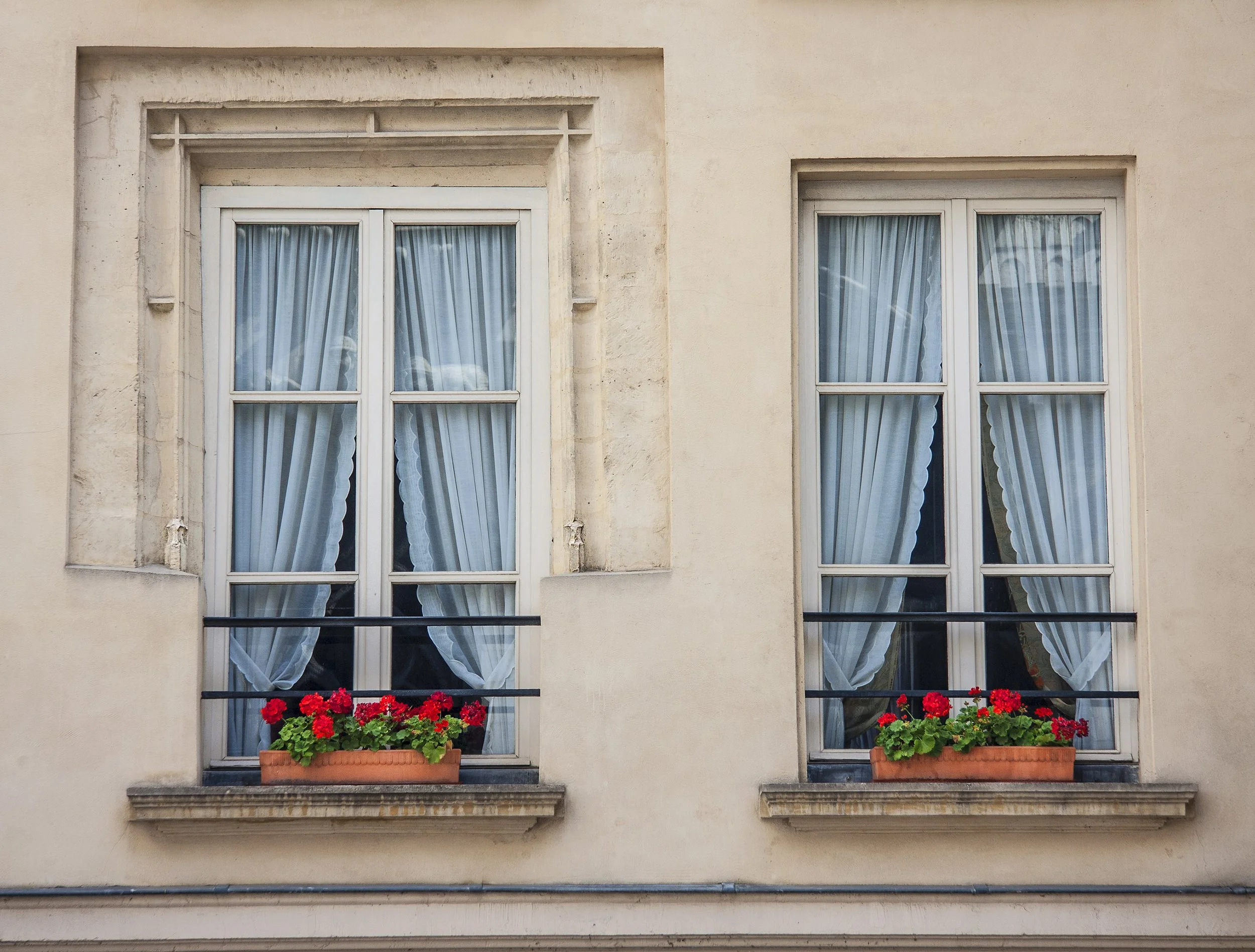 Two Paris Windows copy.jpg