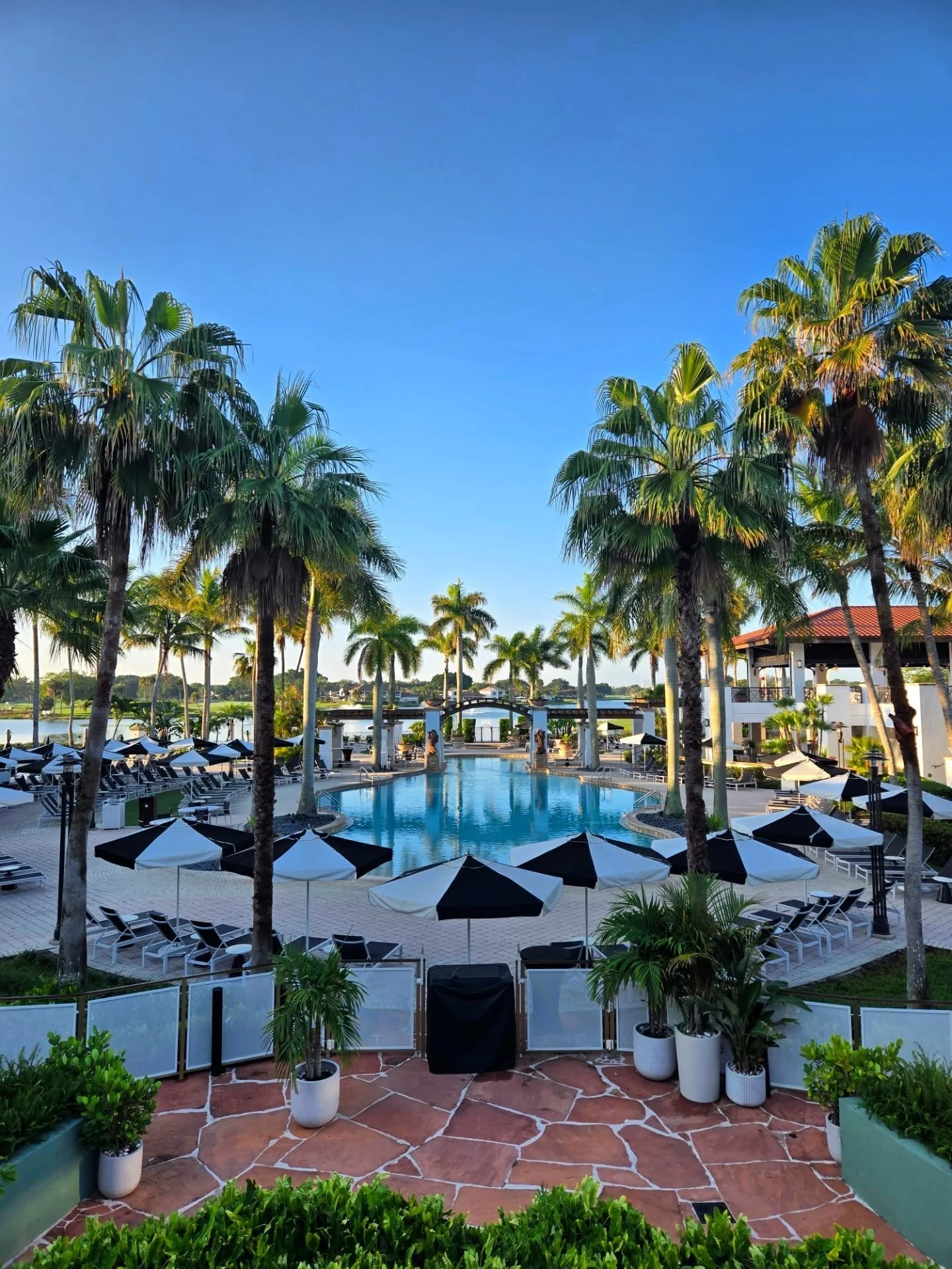 You don't have to go far to escape. 🌴

Did you know we booking domestic travel as well?  Looking for a getaway south, a hike through a National Park, or maybe a weekend full of the neon lights of Broadway, we can help!!! 🛫

Connect with us today to