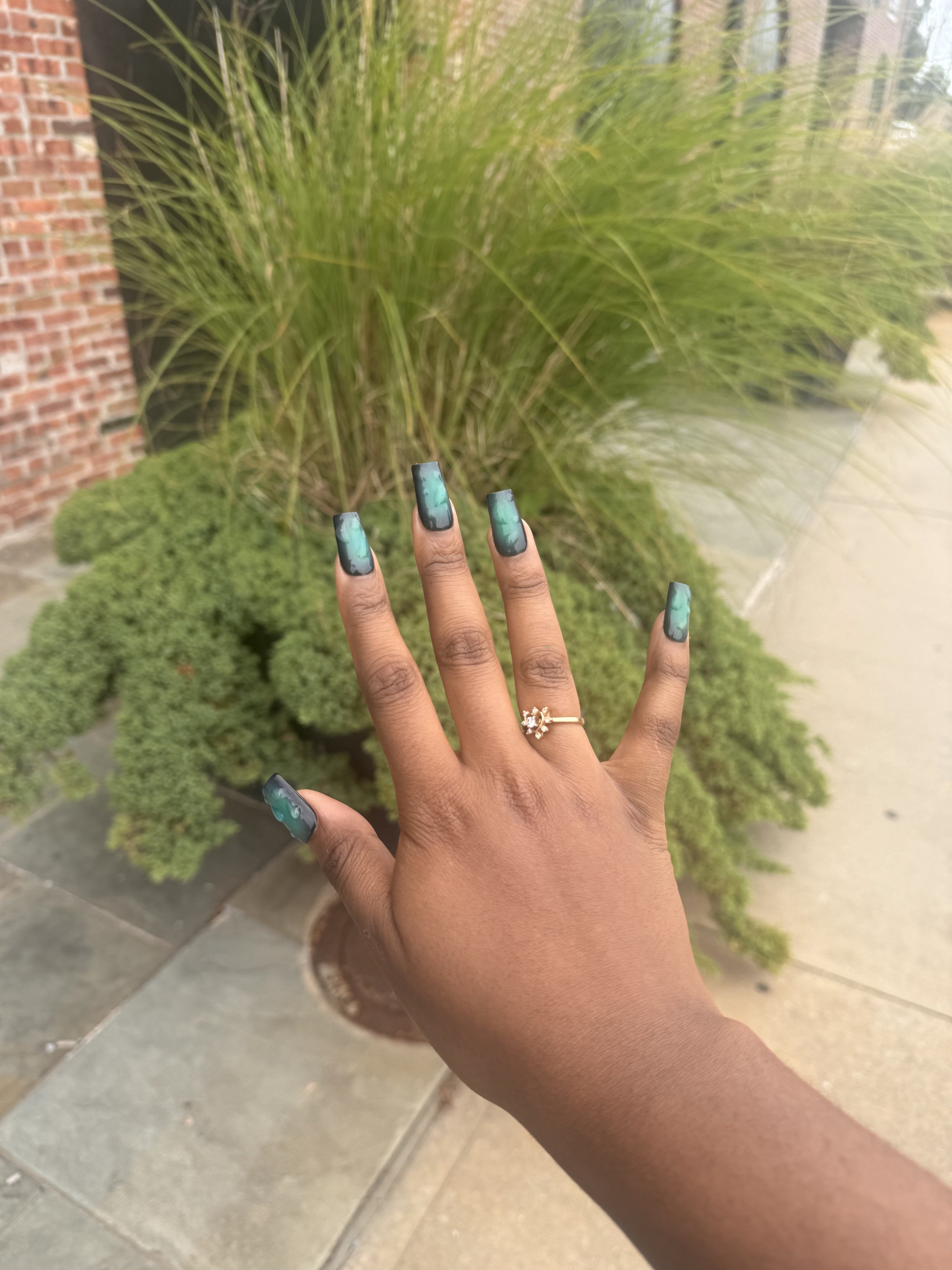 IMG_9282.jpeg