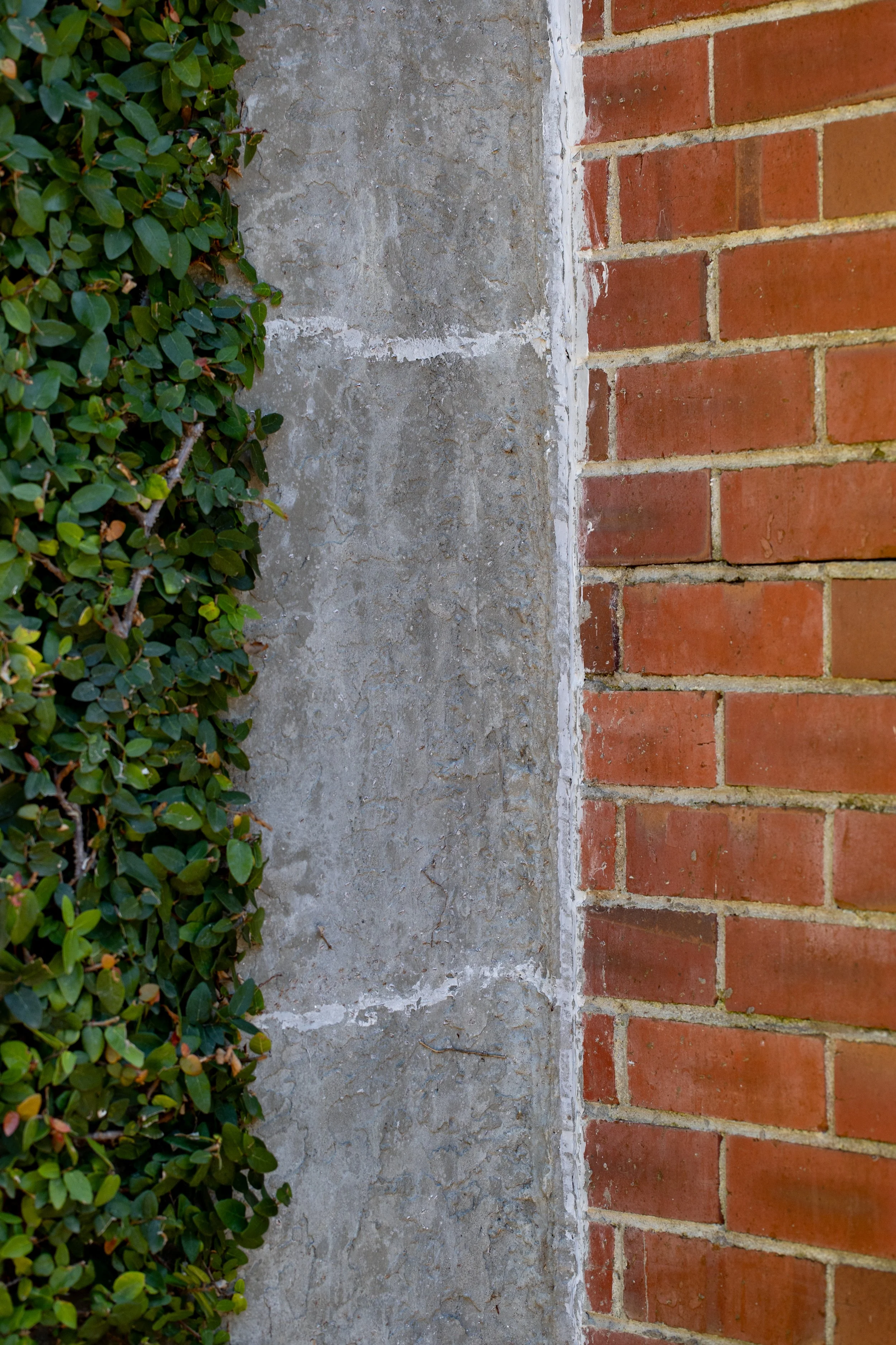 DETAILS_BACKGROUNDS_HR-103.JPG