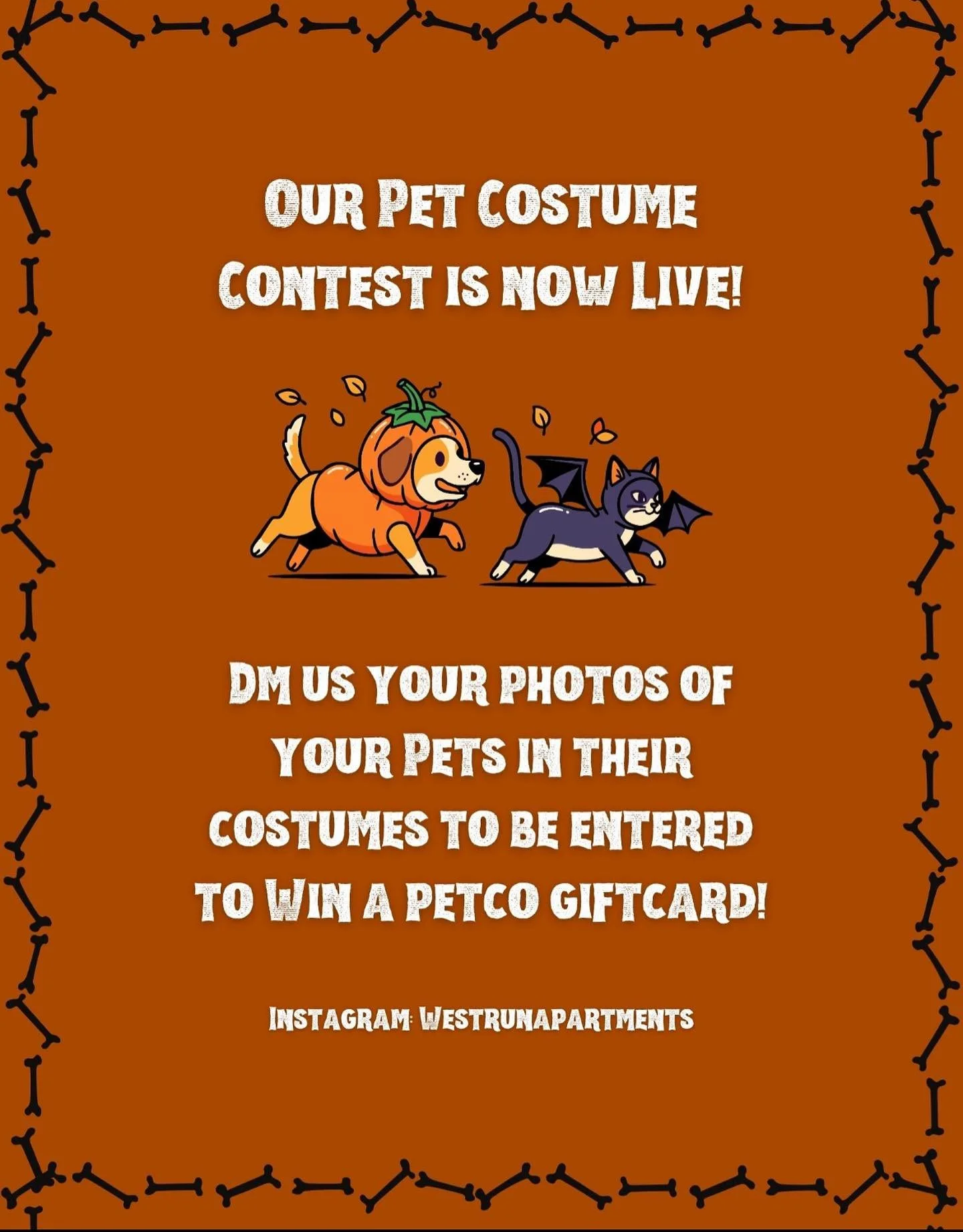 ⭐️Win it Wednesday with a spooky twist👻
*To be entered to win: send us a photo of your pet in their costume🐶
*Voting will take place in the leasing office. Stay tuned for updates! 
#costumecontest #petcostume #winitwednesday #staytuned #studenthous