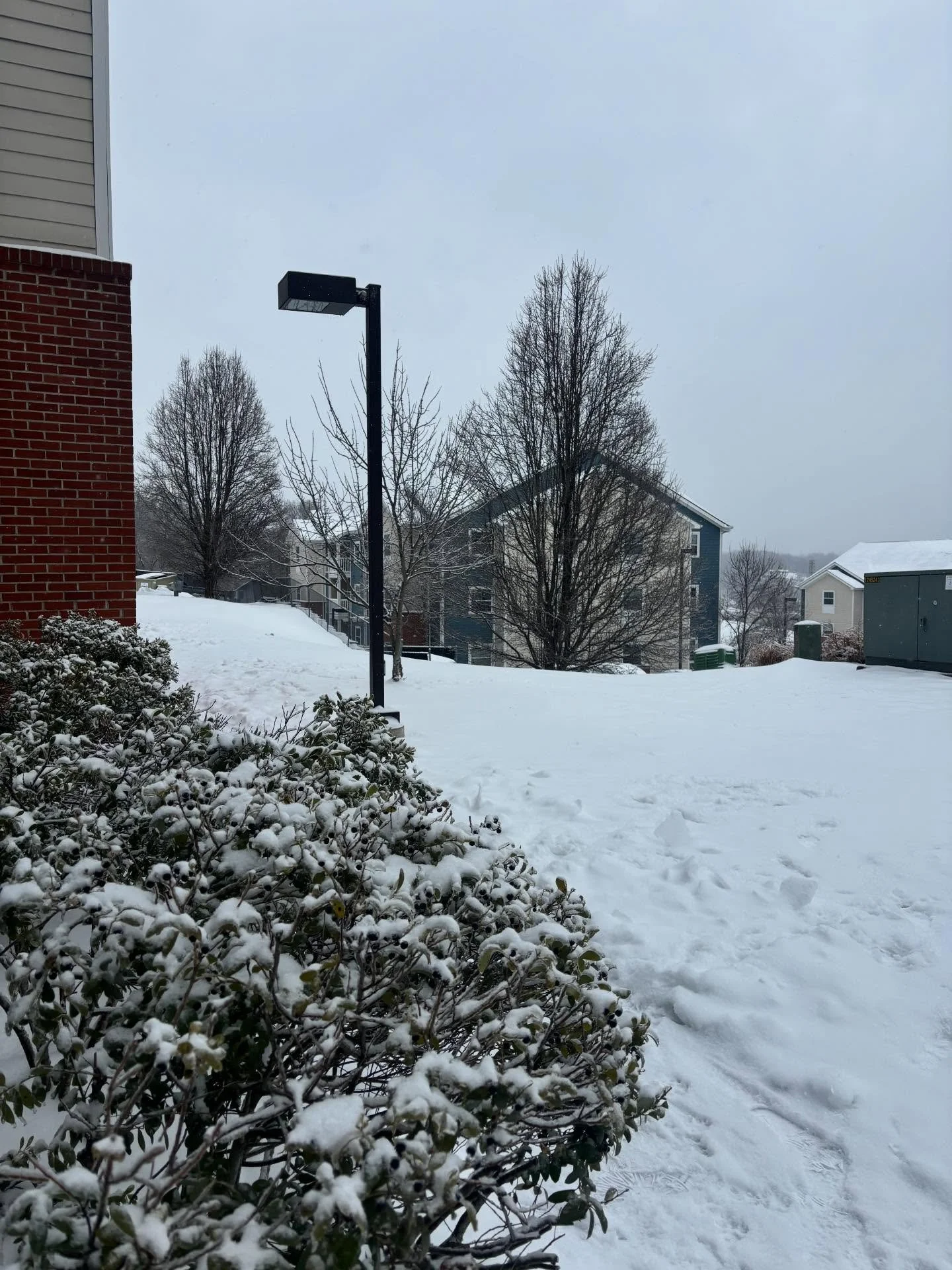 Your safety comes first ❄️
Our office is closed today due to inclement weather. We&rsquo;ll be back tomorrow from 10am&ndash;6pm.
If you experience an emergency in your apartment, please contact the emergency maintenance line. Stay warm and safe!
#of