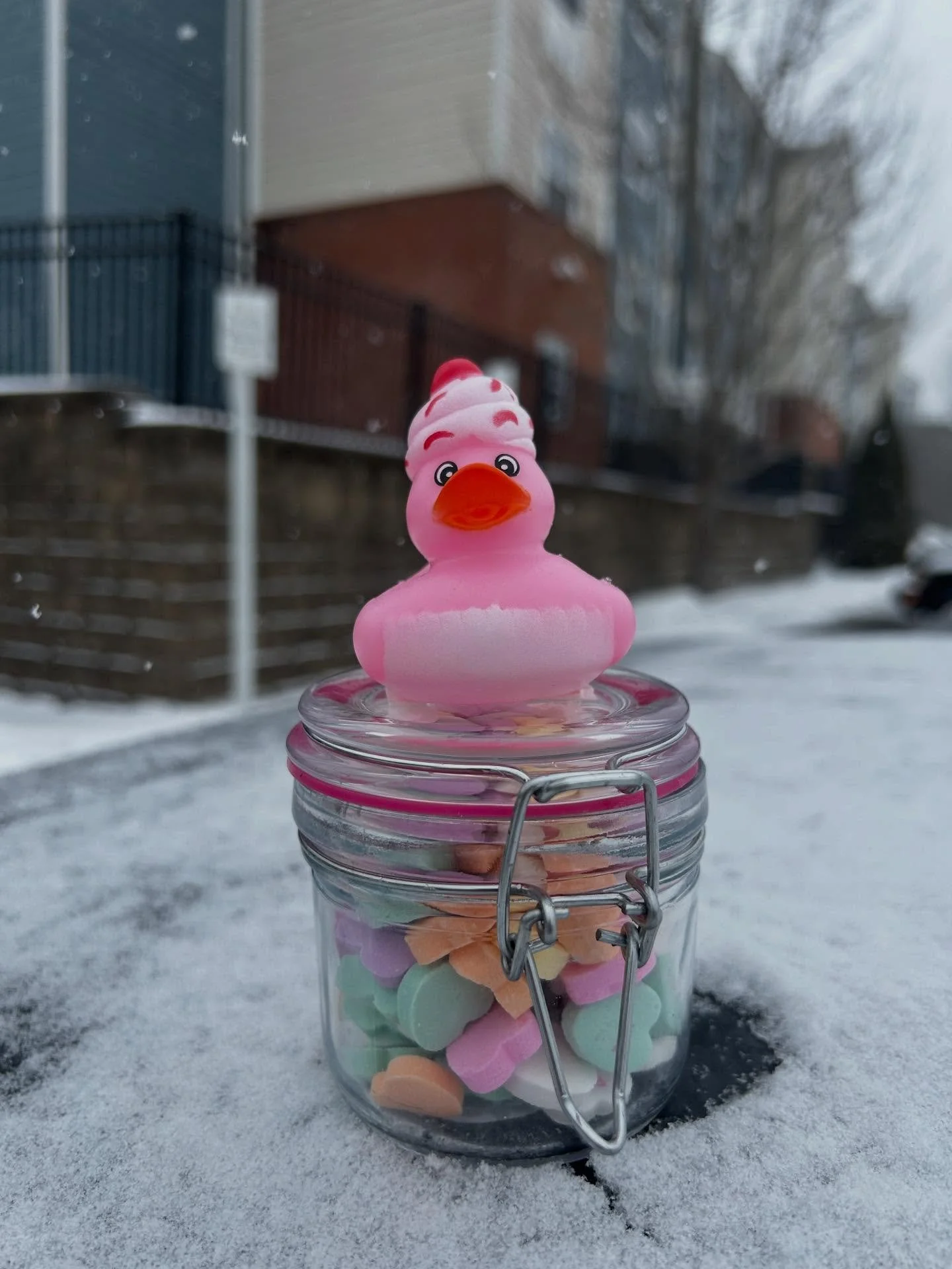 ❤️✨ Think you&rsquo;ve got a good eye? Stop by and guess how many hearts are in the jar! Will you be the closest? Take your chance to win! 🏆💕
#contesttime #guessthehearts #closestwins #westrun #residentevent