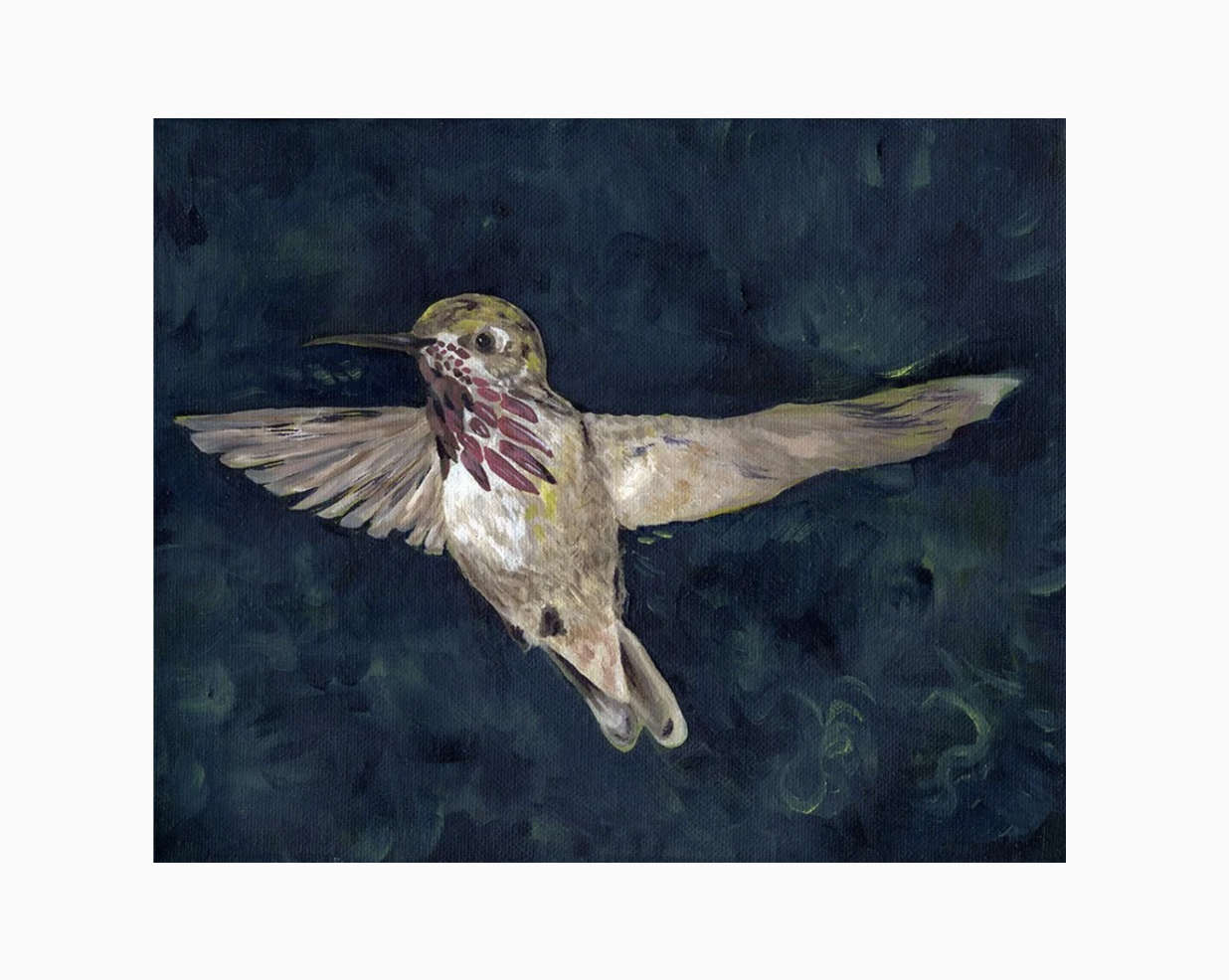 Calliope Hummingbird | Oil on canvas | 2023 | 8 × 10 in | Sold