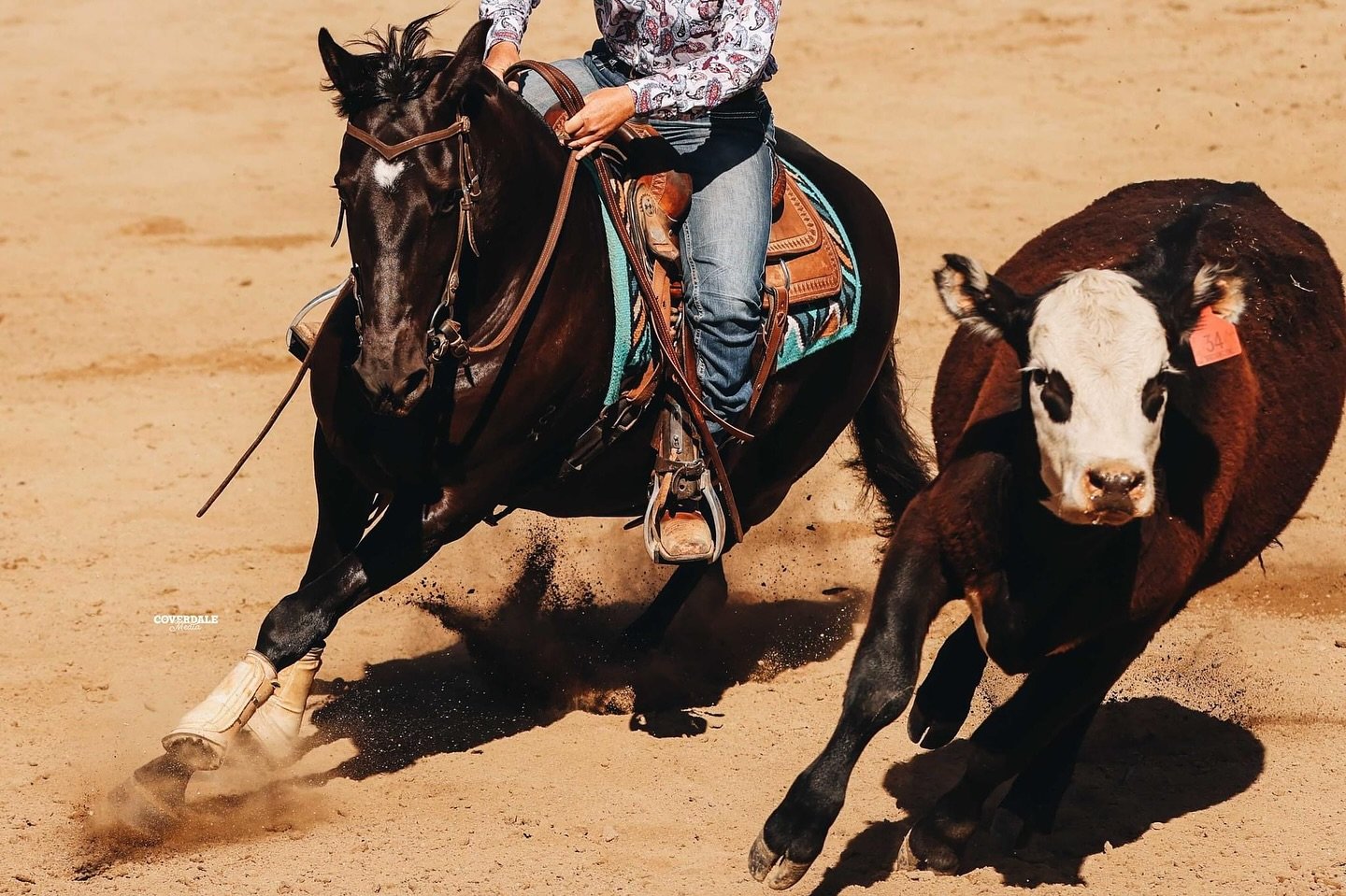 This weekend I will be back out and shooting at Riverina Cow Horse! It&rsquo;s felt like ages since my last event so I am very excited to be back behind the lens.

My videography bookings are now full, but we will be ring side photographing your runs