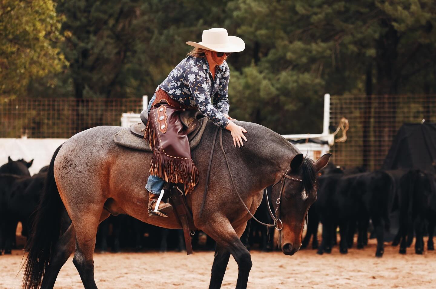 Riverina Cow Horse Day 1 

What a great first day down here at Narrandera. I cannot wait to see you all for day 2!