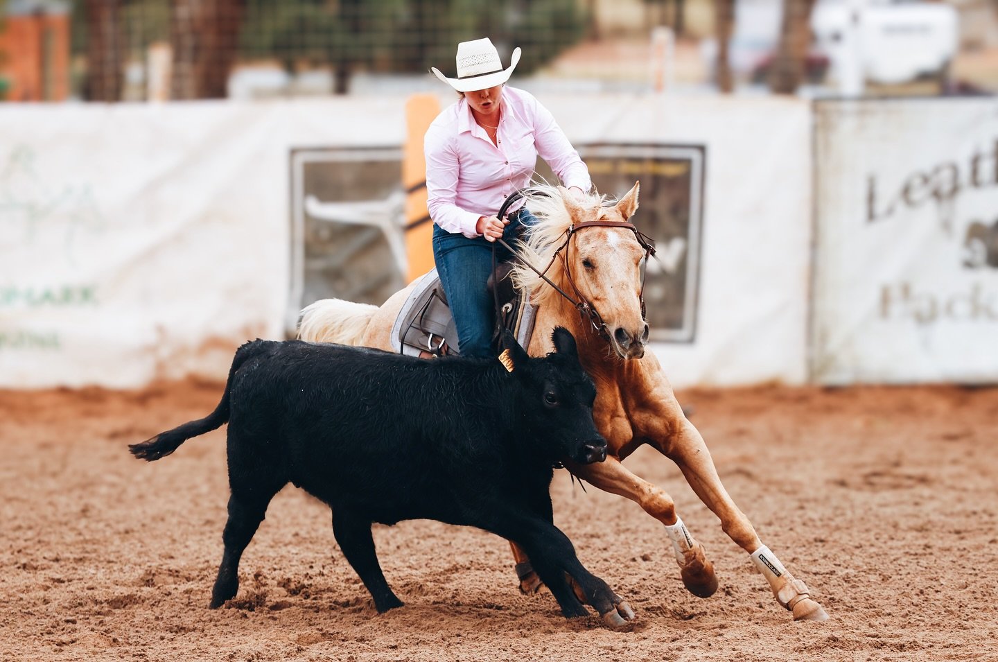 What a weekend! 

Riverina Cow Horse wrapped up today and what a fantastic show it was.
A massive props to Emma and Troy for putting on a great event, your hard work definitely didn&rsquo;t go unnoticed!

Photos will be up this week, please keep your
