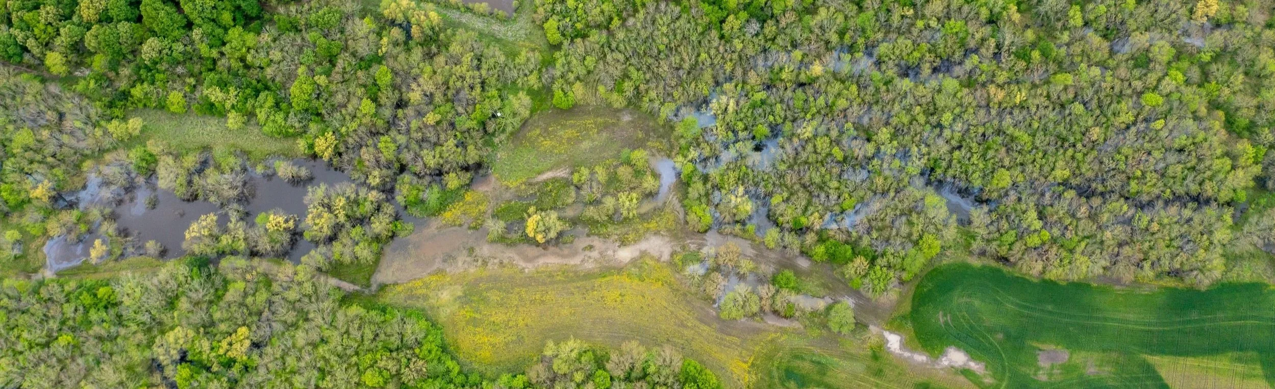 Aerial view of a lush green forest with some water bodies and open grassy areas.