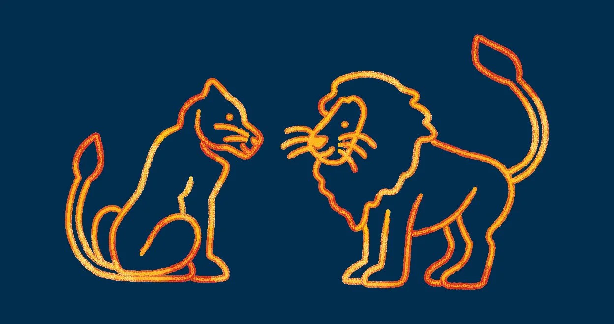 _ZL 2024_Brand elements-12.jpg