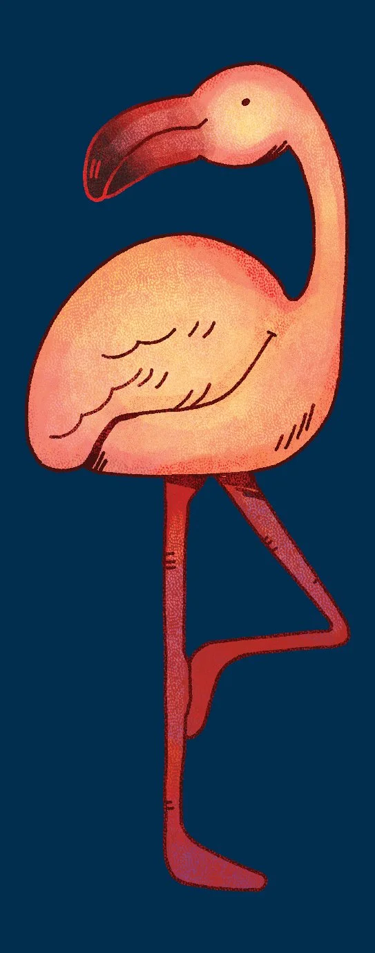 _ZL 2024_Brand elements-19.jpg