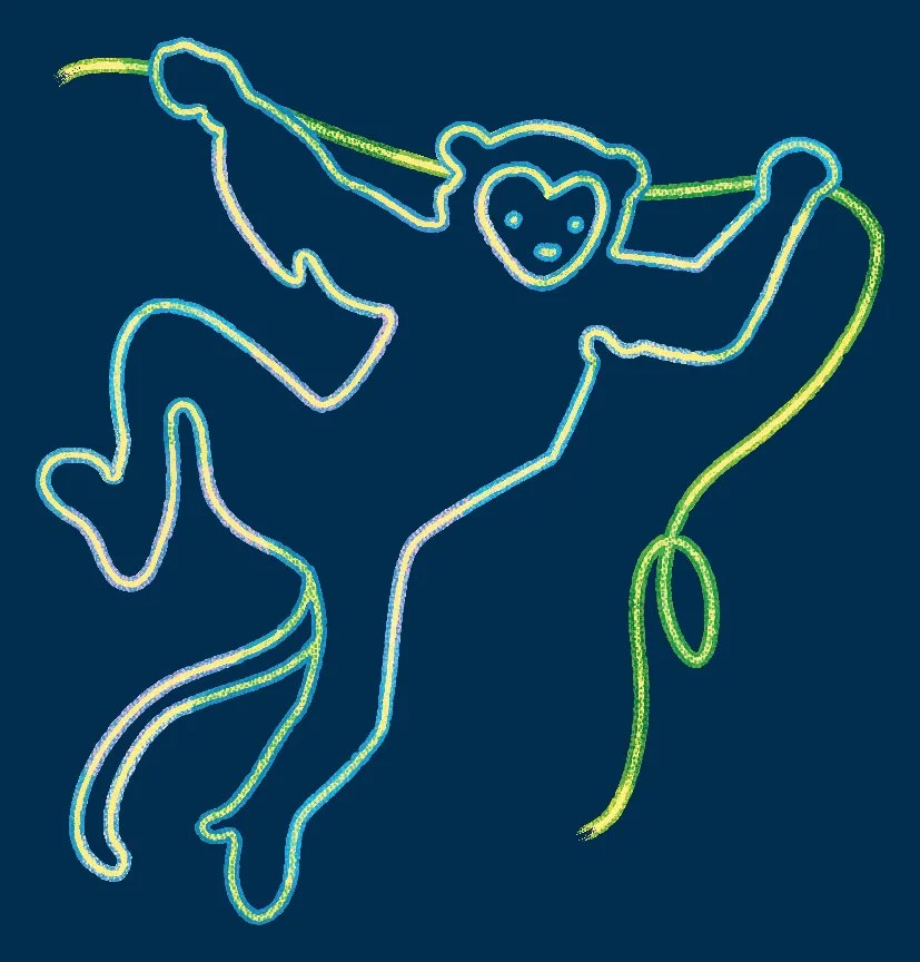 _ZL 2024_Brand elements-14.jpg