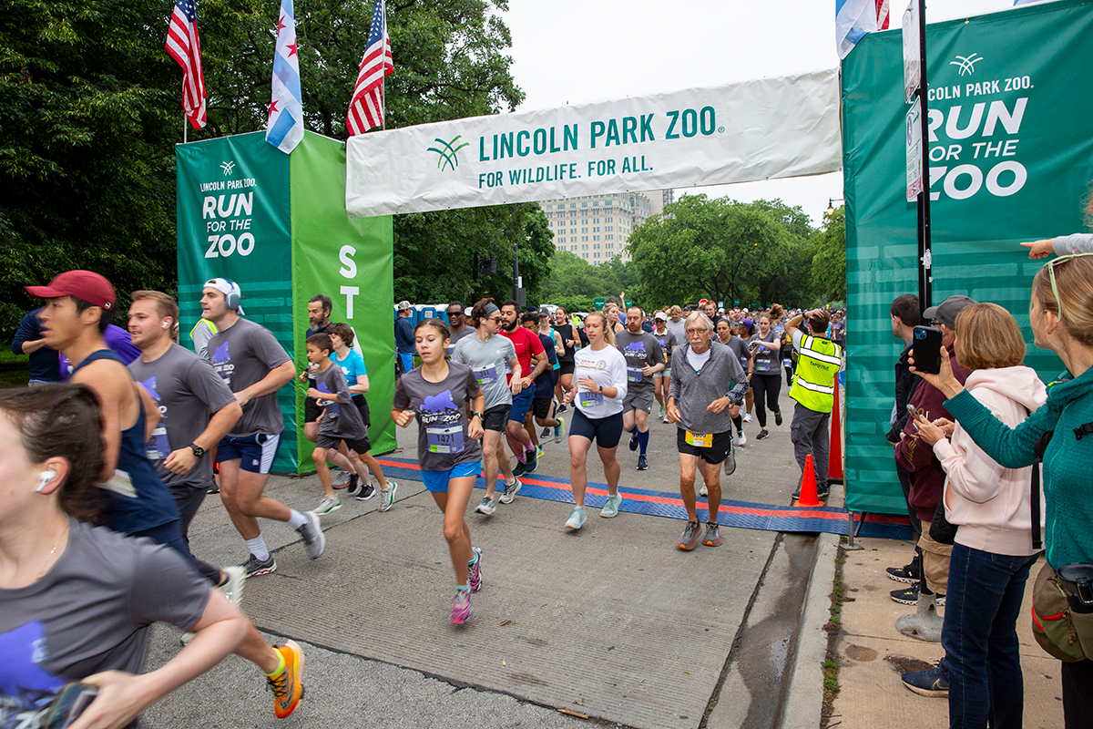 20240602_LMiller_run for the zoo_155.png