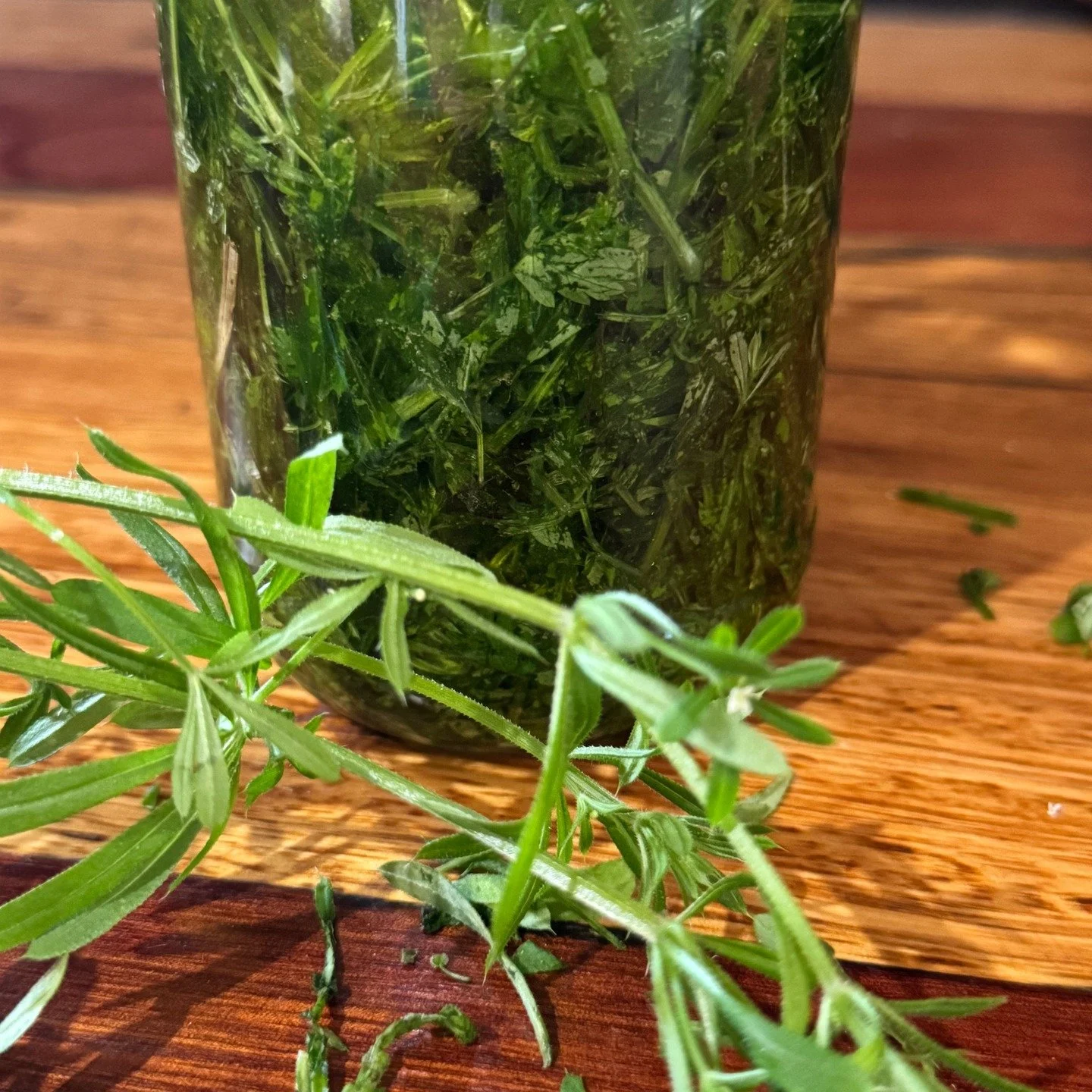 It's that time of year when we're collecting herbs for our organic skincare. Cleavers (Galium Aparine) soothes, calms and hydrates; it yields its best results when infused fresh. This oil will steep for a month or so in readiness for its inclusion in