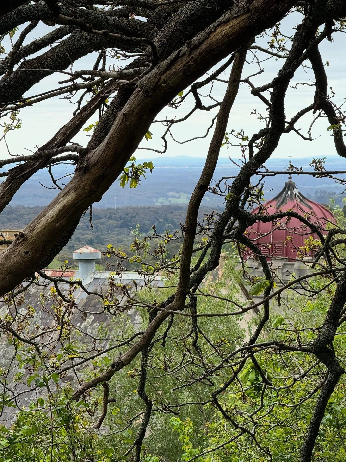 Spring is beautiful in the central highlands of Victoria.