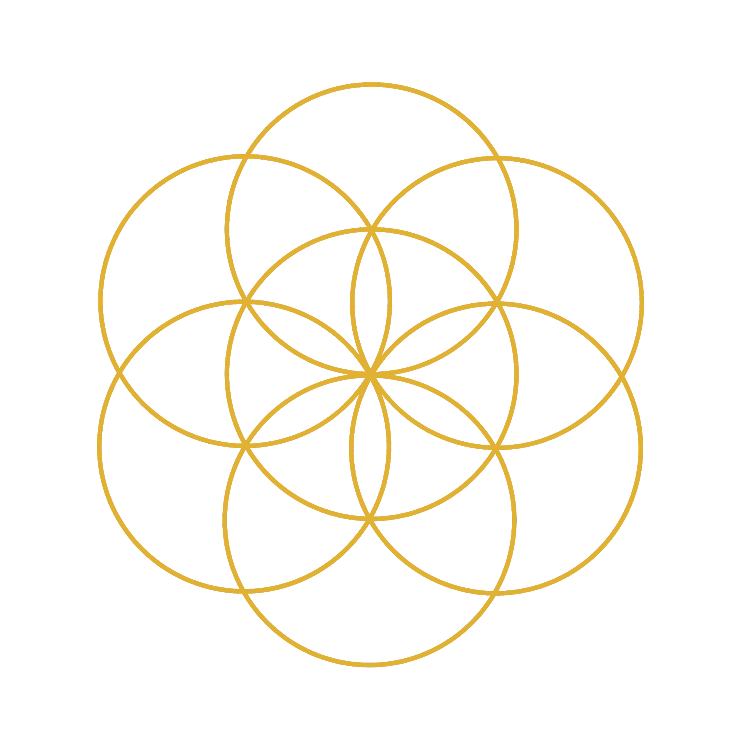 Gold sacred geometry - quantum field neuroscience spiritual empowering visionary coaching experience joy ease self-love freedom innovative neuroscience quantum field power creational authority transformation money mindset abundance magic