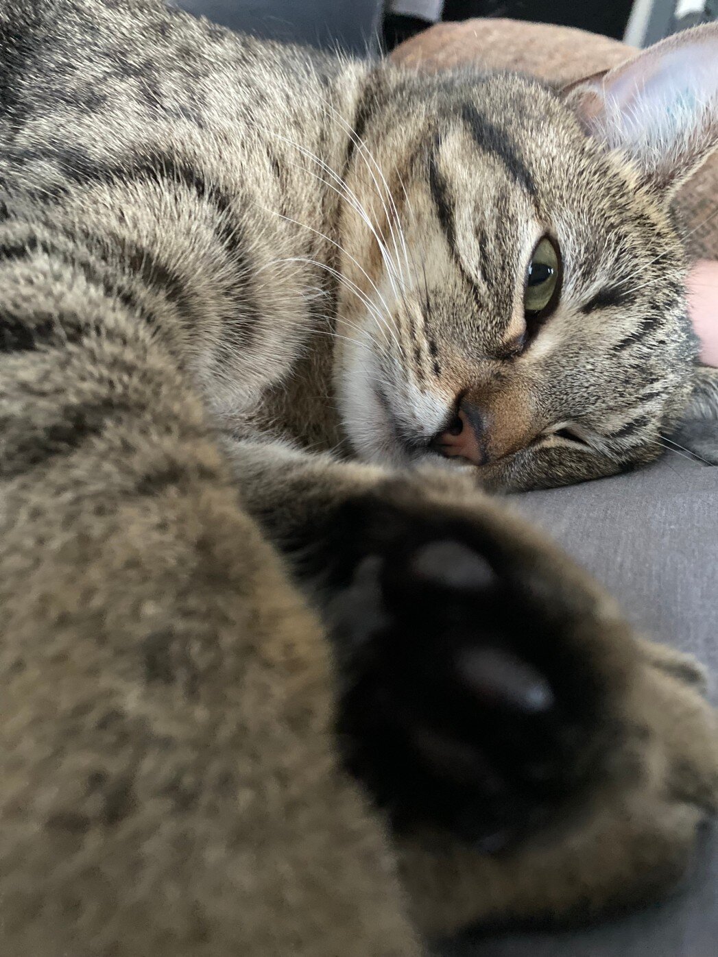 Mabel and her toe beans are the vibe I'm taking into the long weekend/next week: Time for a break. Registration is still open for the Better Business Workshop, but my notifications are off. See you when I'm back!