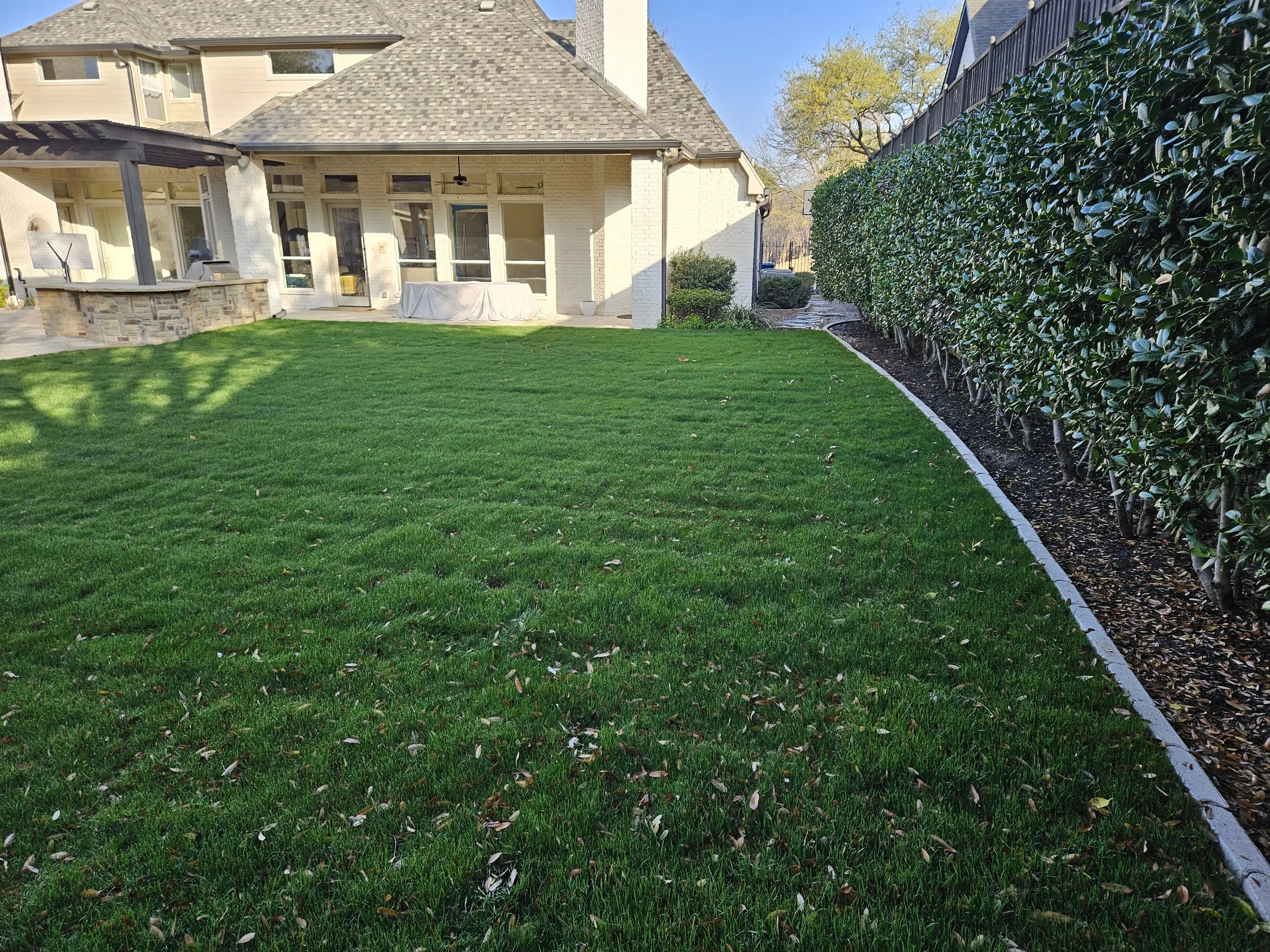 Backyard with a green lawn, a row of manicured bushes along a dark curved border, and a white house with large windows, a covered patio, and a stone accent wall.