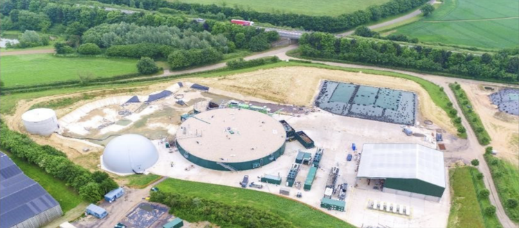 BIOENERGY RESEARCH GROUP visual data 6