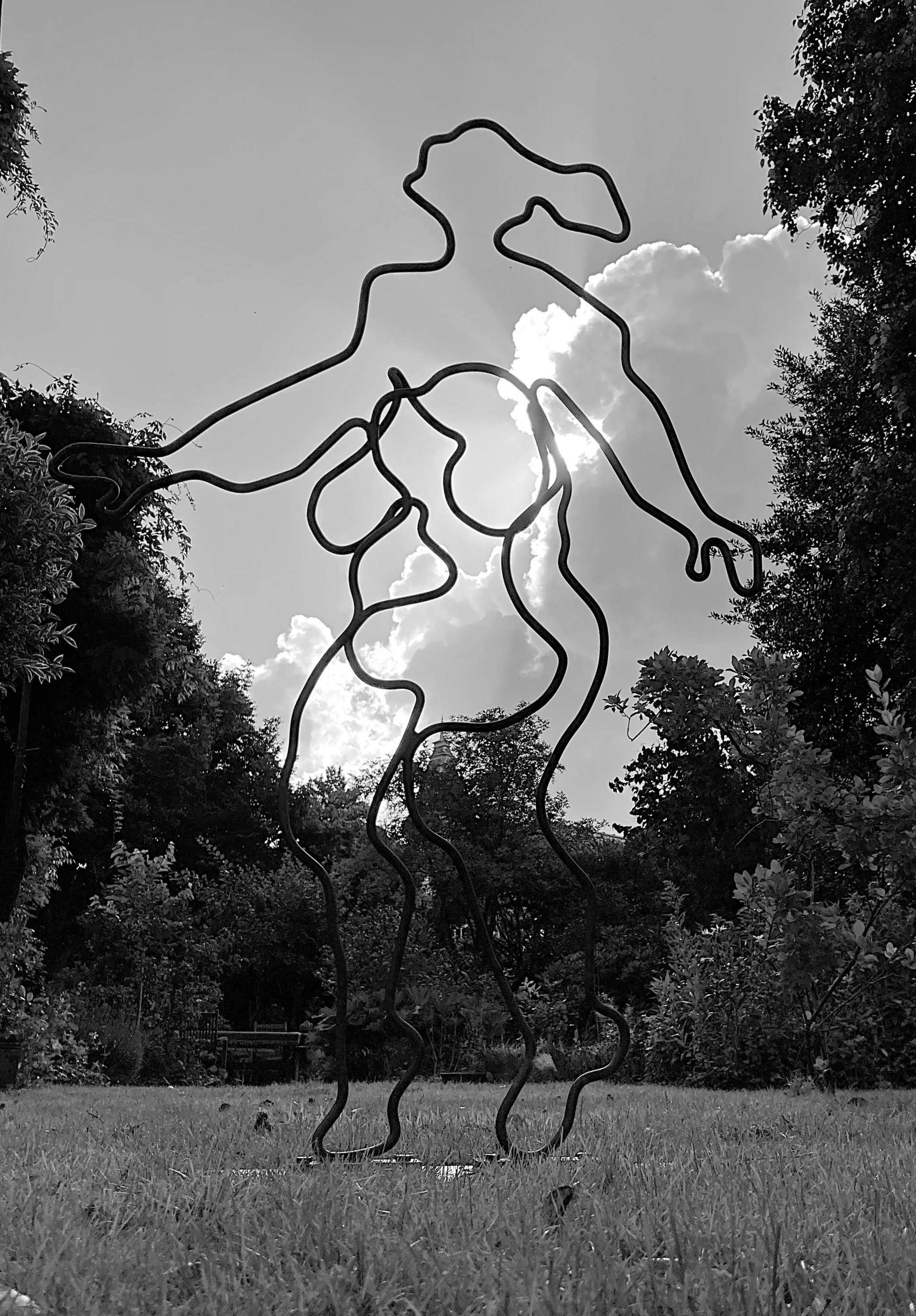22.3 Tuinbeeld IMG_5235.jpg