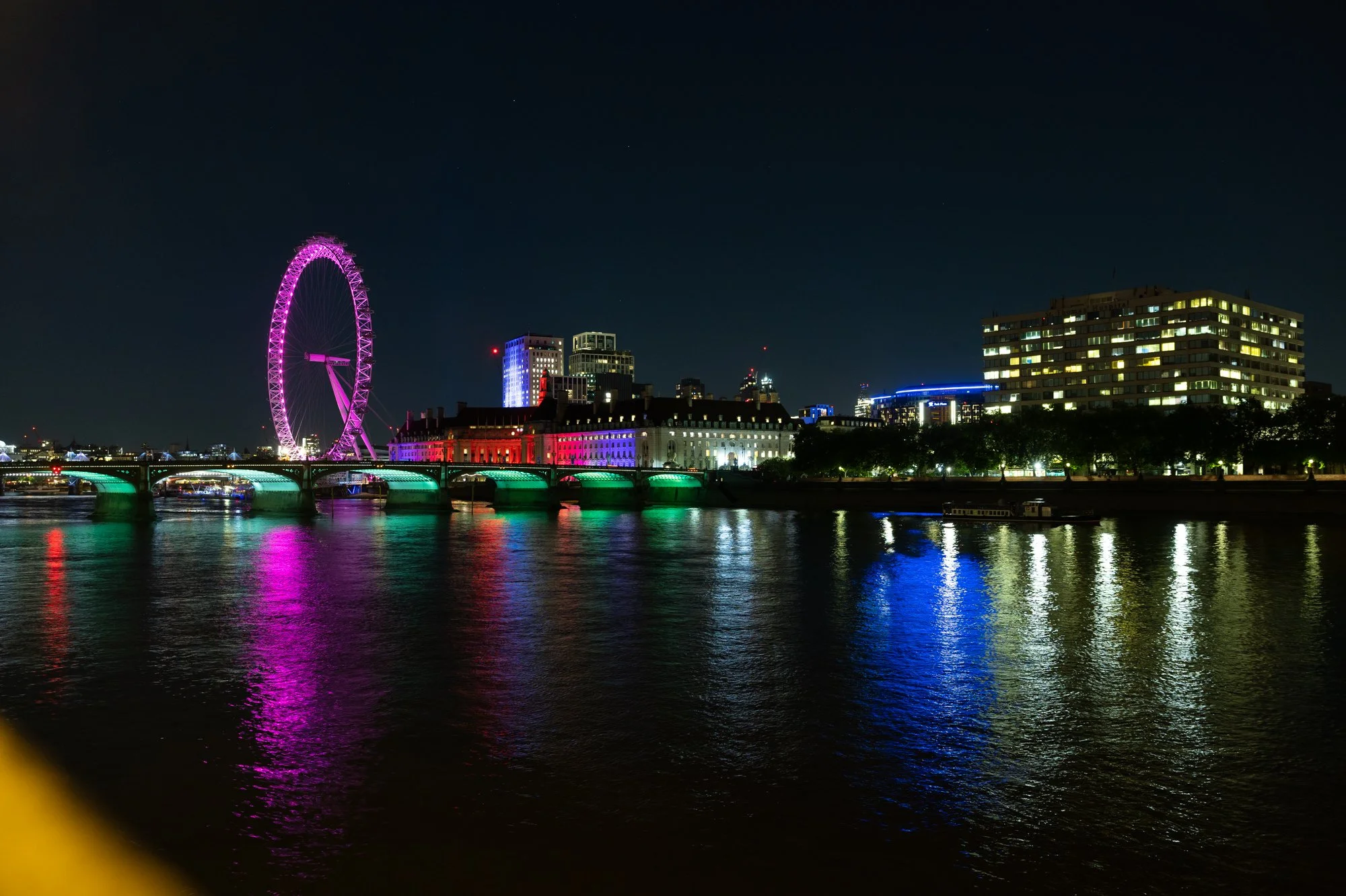 HoL Reception (highlights)_43.jpg