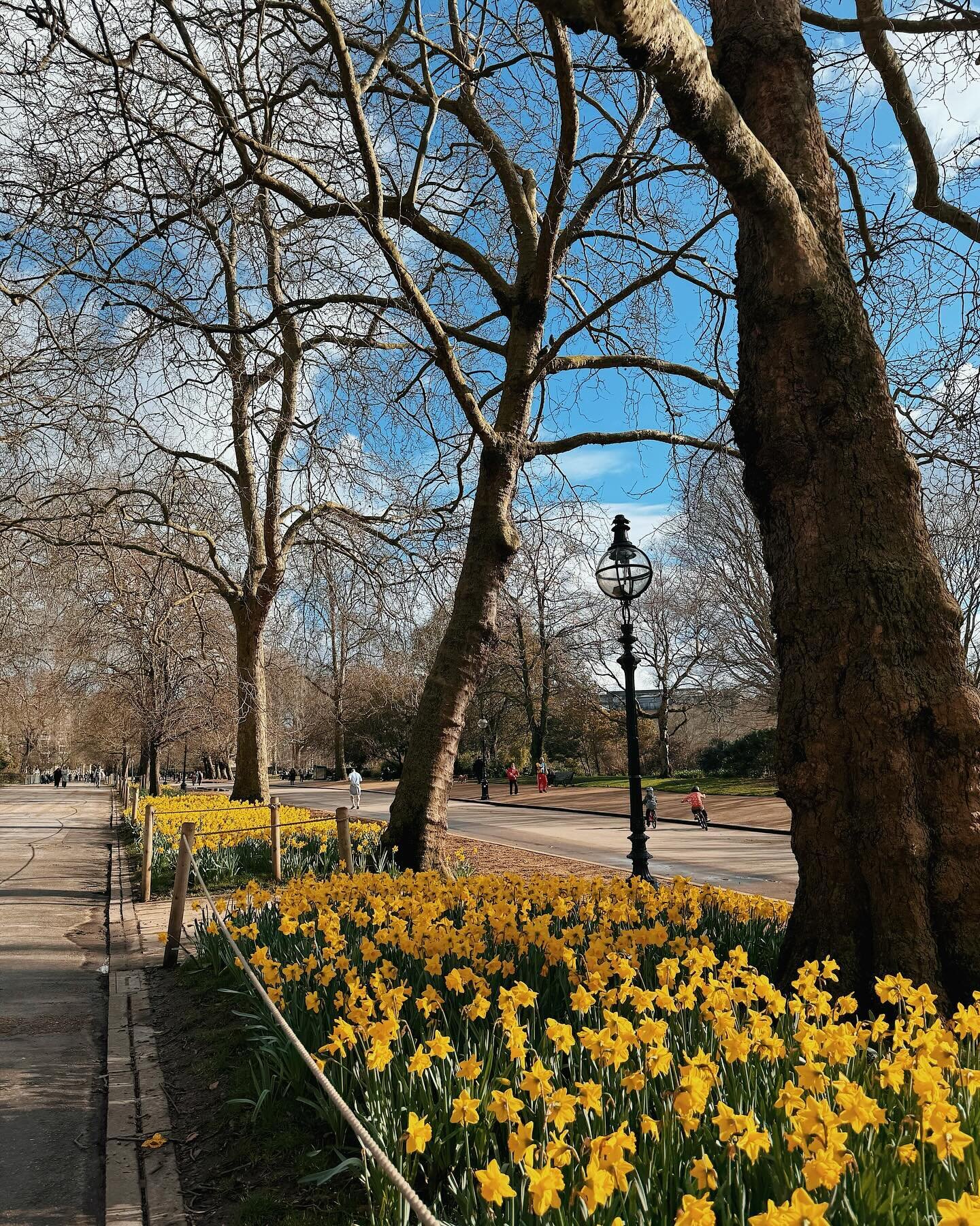 Hyde Park in full bloom yesterday 🌼 (only a daisy was harmed in the making of this content 😅)
