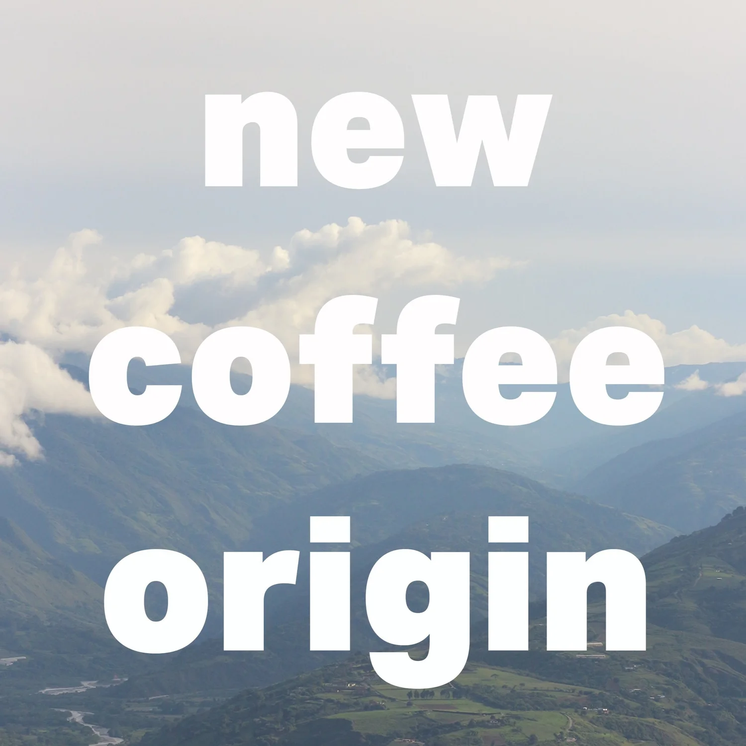new coffee origin - en español