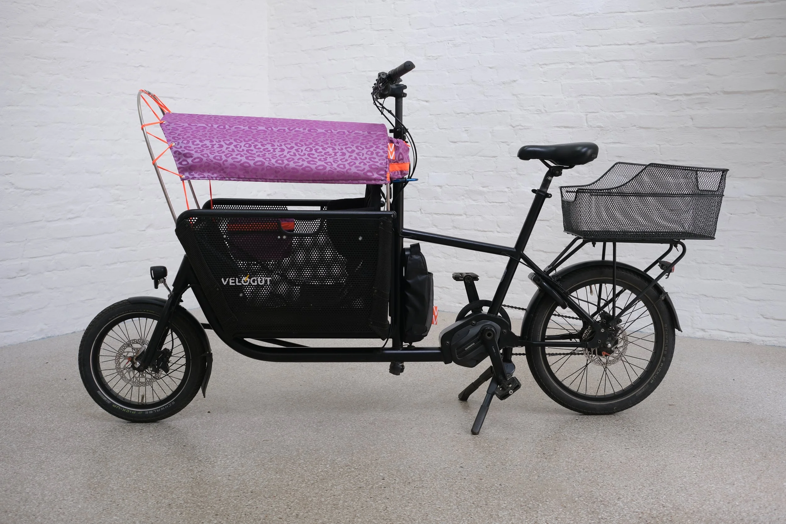 LEDA Sonnensegel - Lila Leo