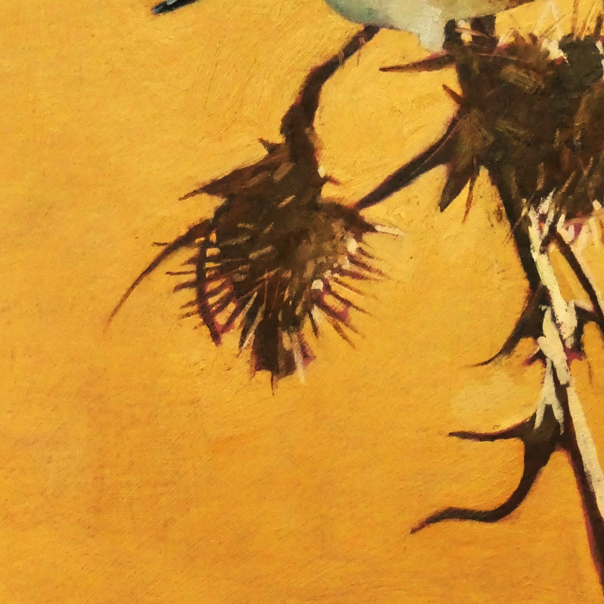 P1290103 c.jpg